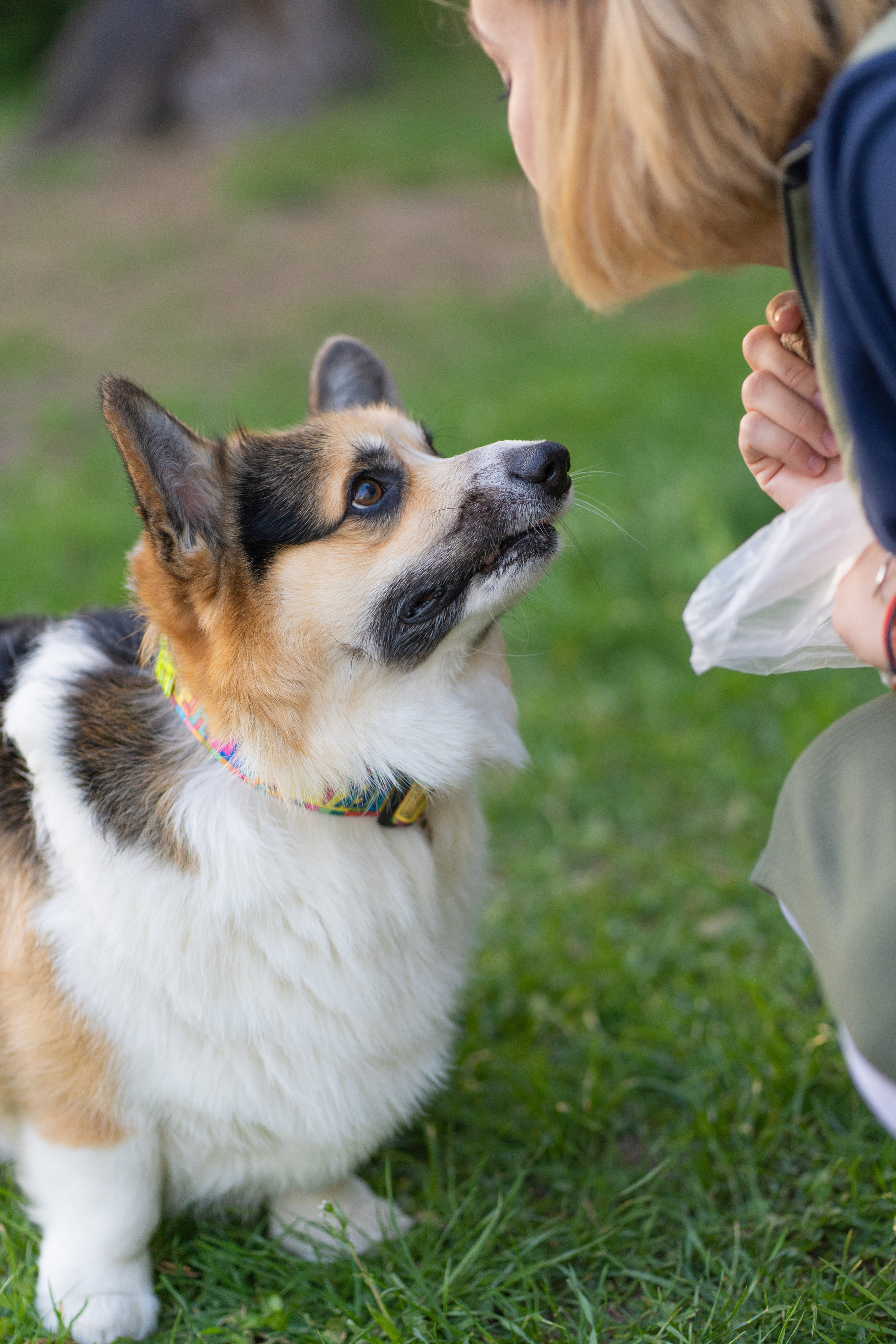Катя и Честер, Серебряный бор. Свадебный фотограф в Москве Анна Полушина