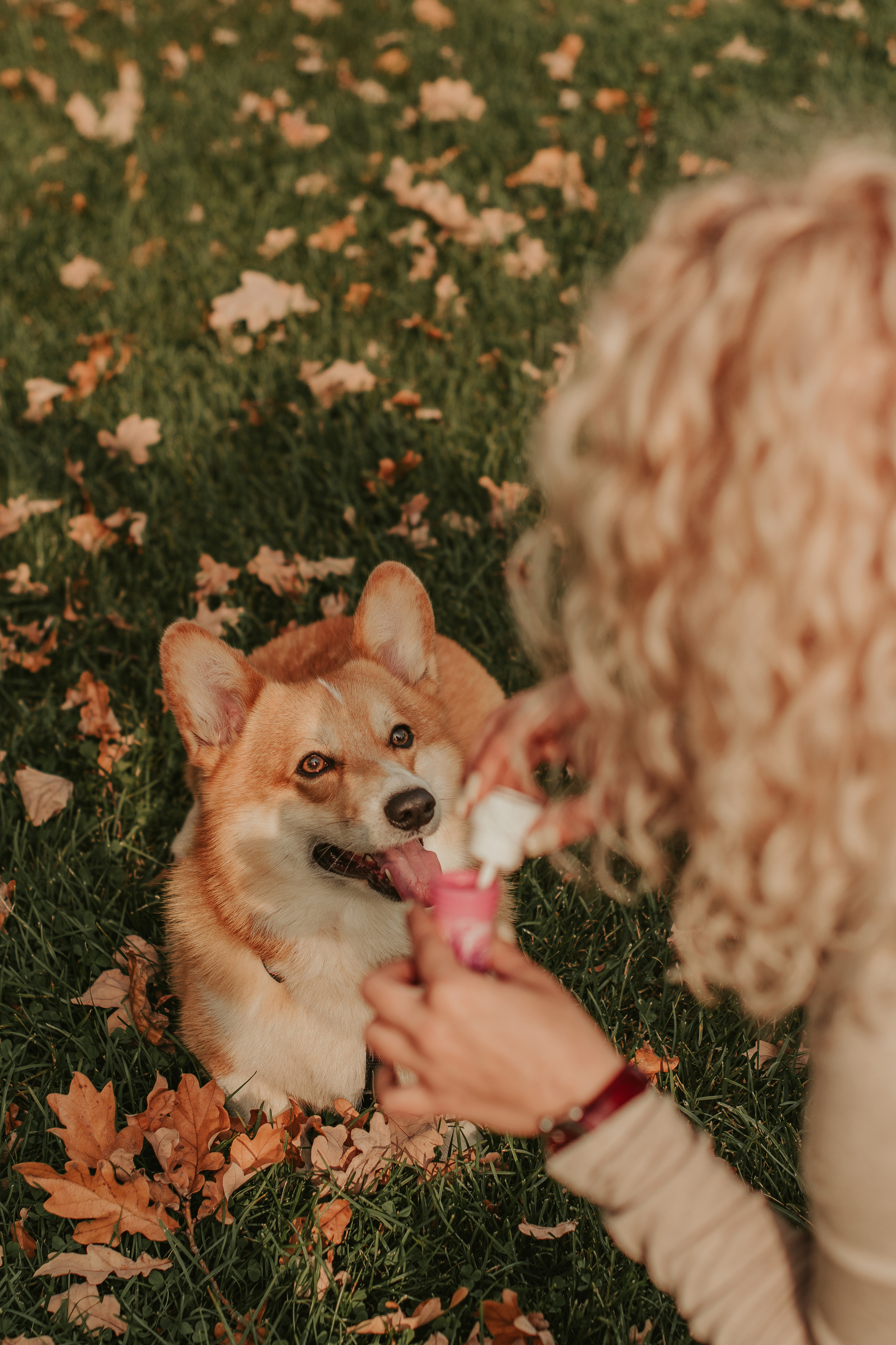 Наташа, Даша и Кевин. Свадебный фотограф в Москве Анна Полушина