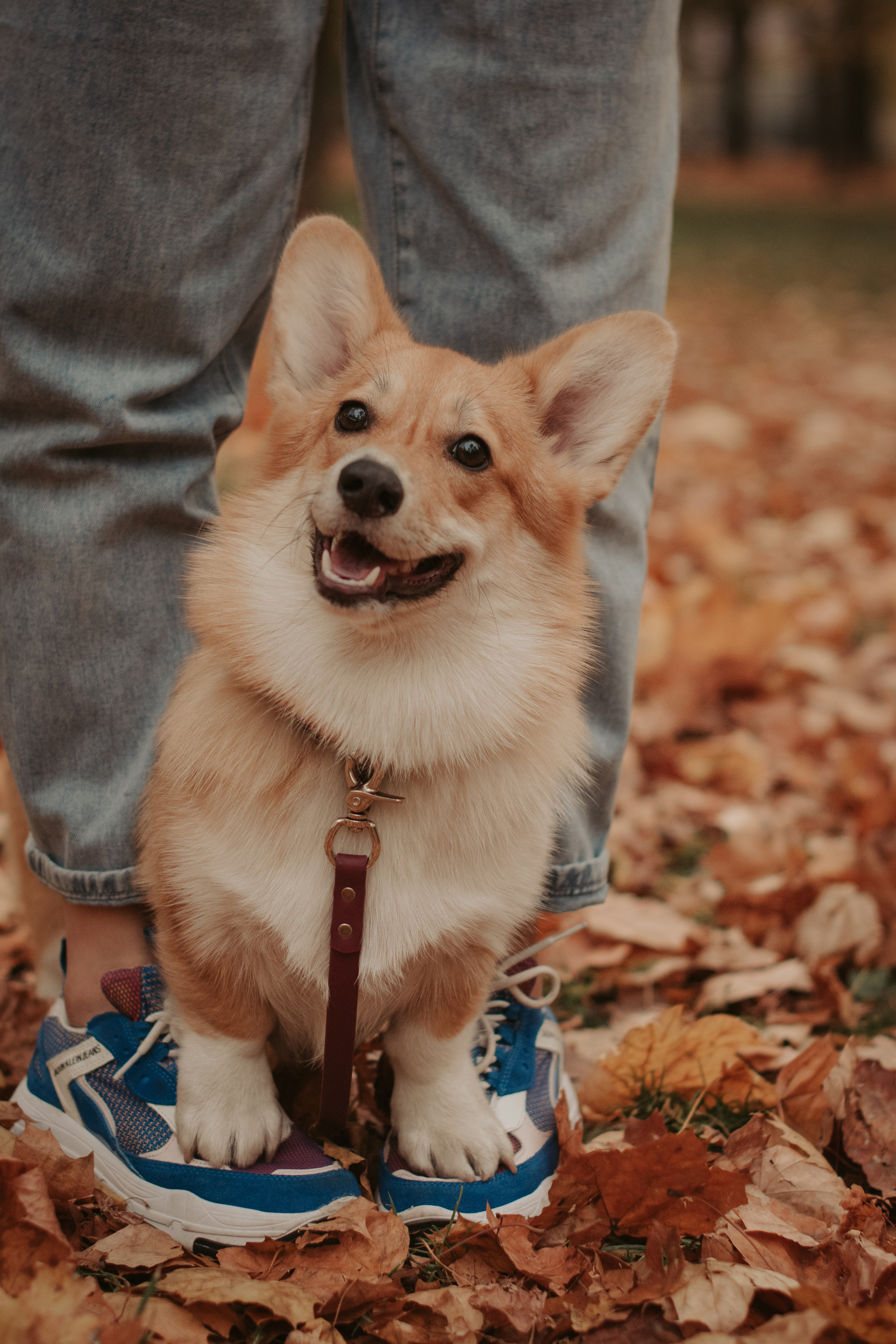 Марина и Мася, Новодевичий сквер. Свадебный фотограф в Москве Анна Полушина