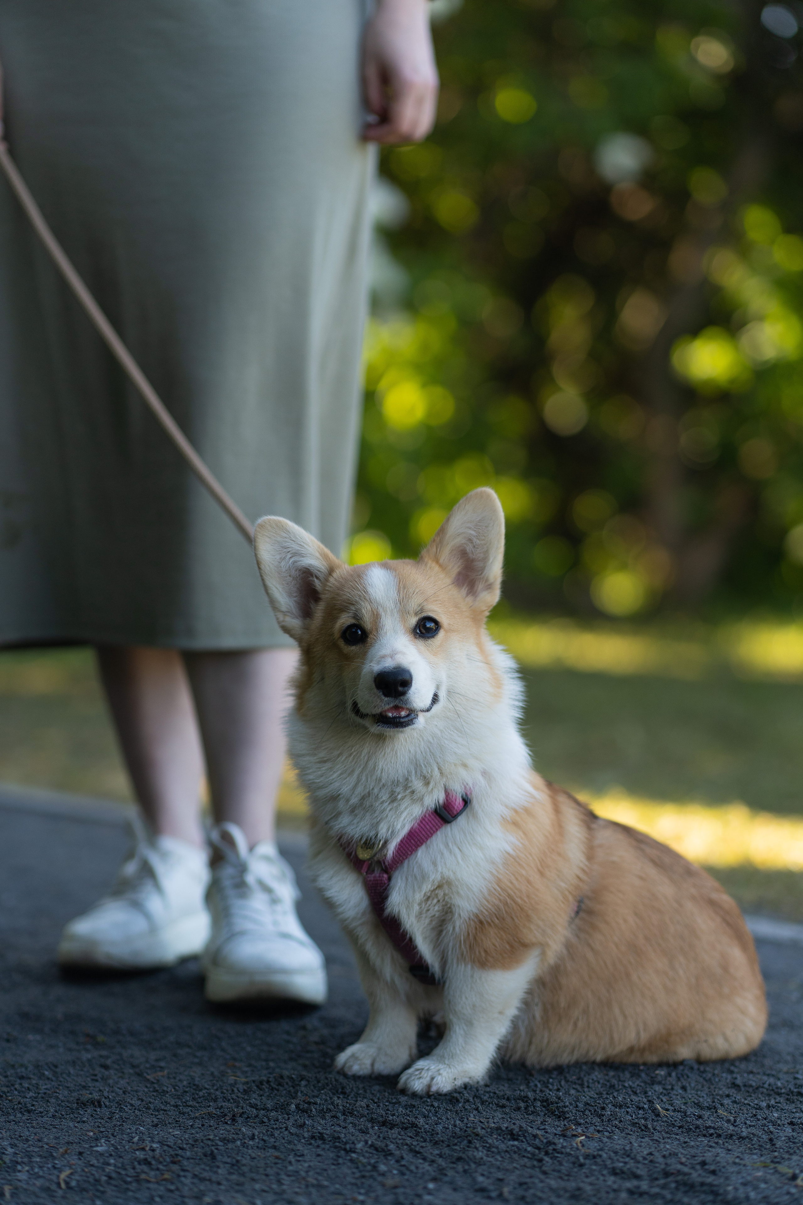 Полина и Стеша, Сиреневый сад. Свадебный фотограф в Москве Анна Полушина