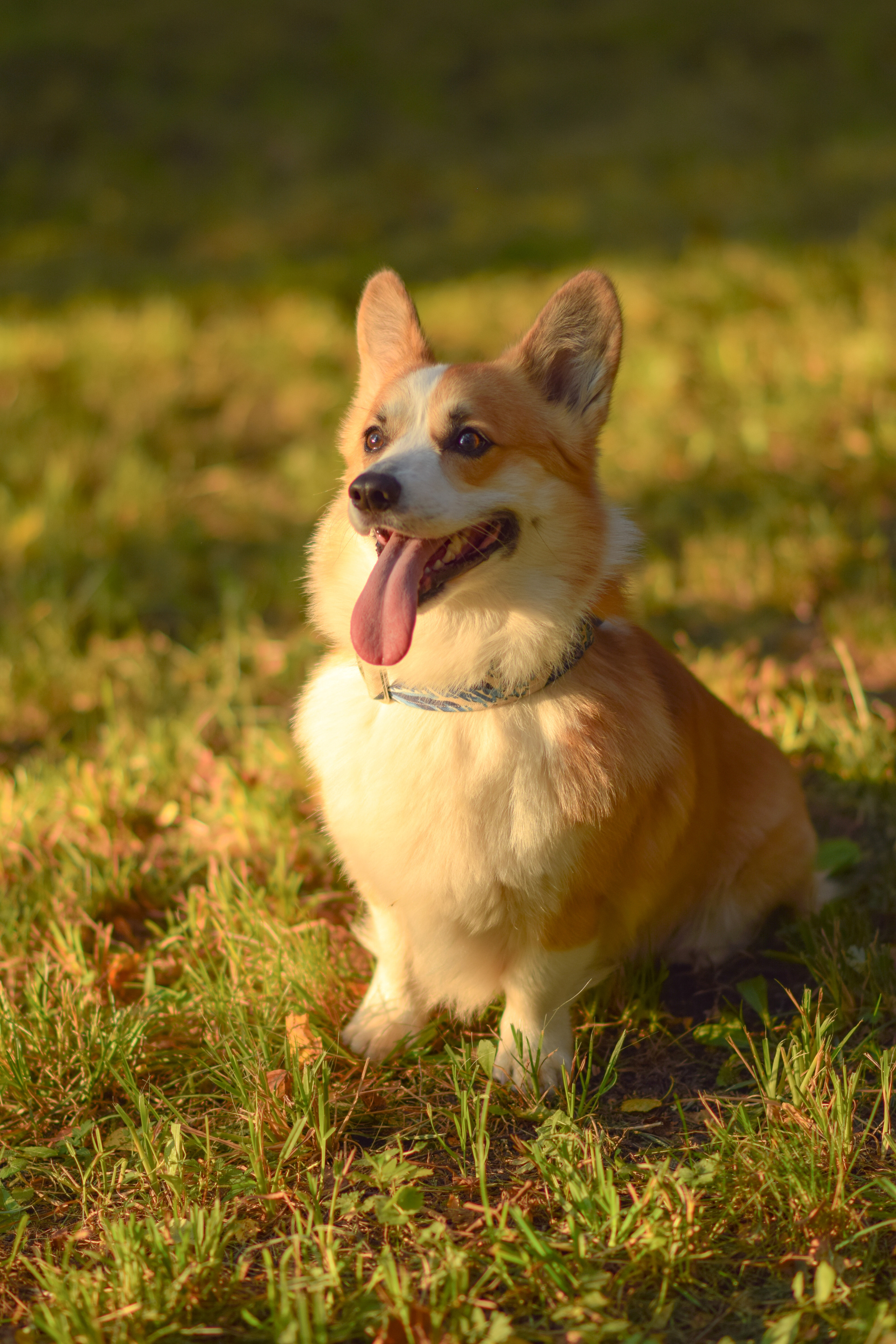 Алина и Ройс, парк на Яузе. Свадебный фотограф в Москве Анна Полушина