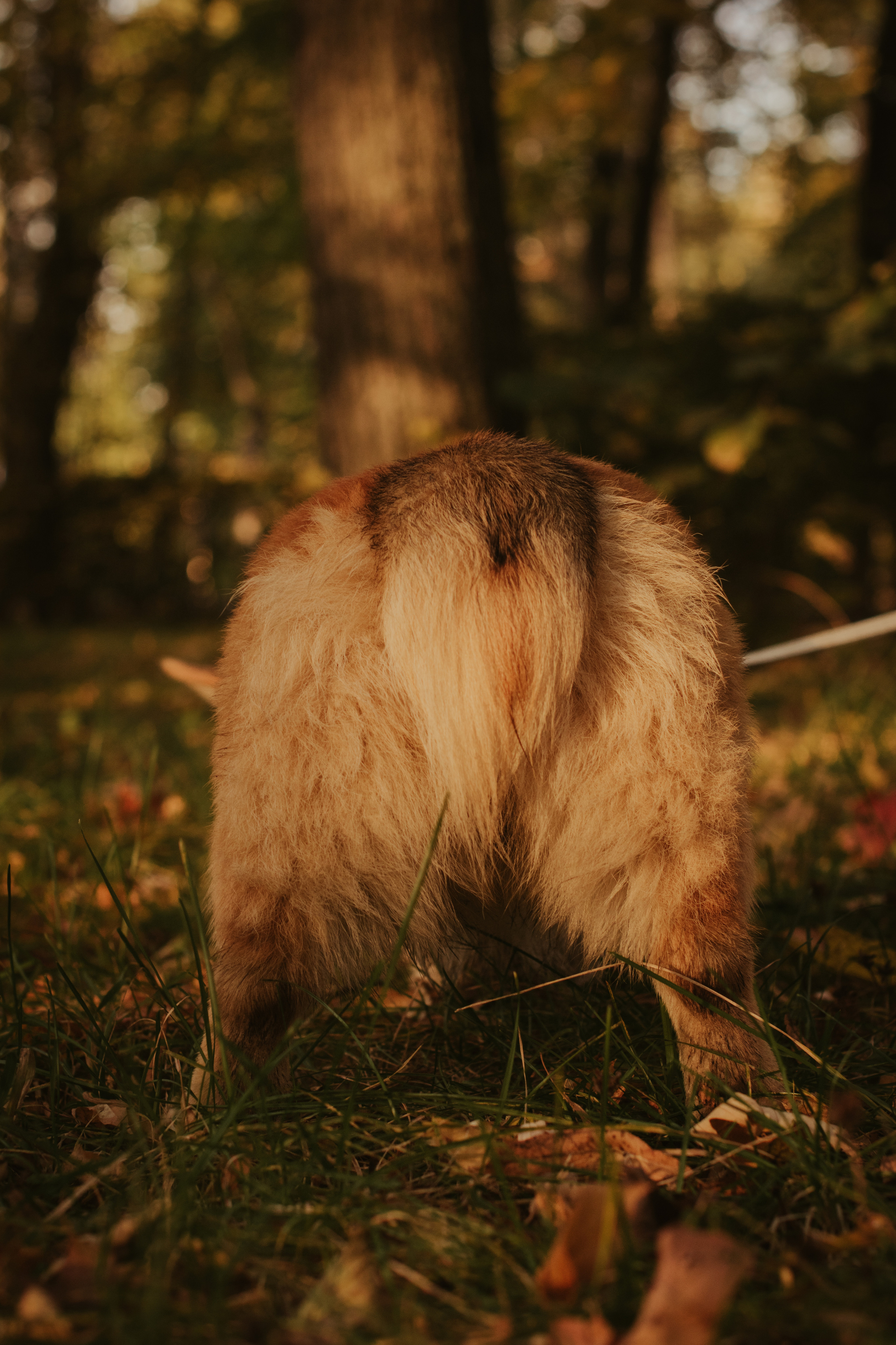 Катя и Оливер, Сокольники. Свадебный фотограф в Москве Анна Полушина