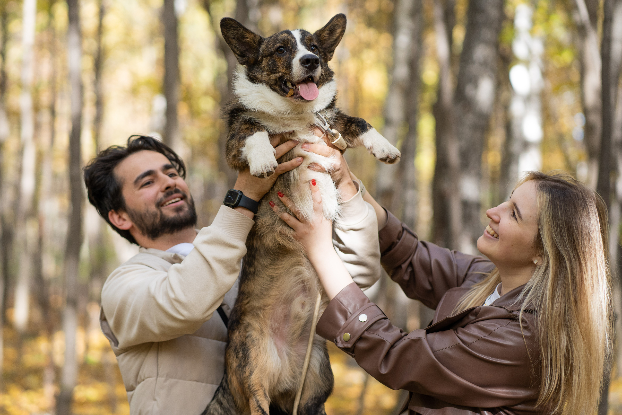 Боря, Даша и Маффин. Свадебный фотограф в Москве Анна Полушина