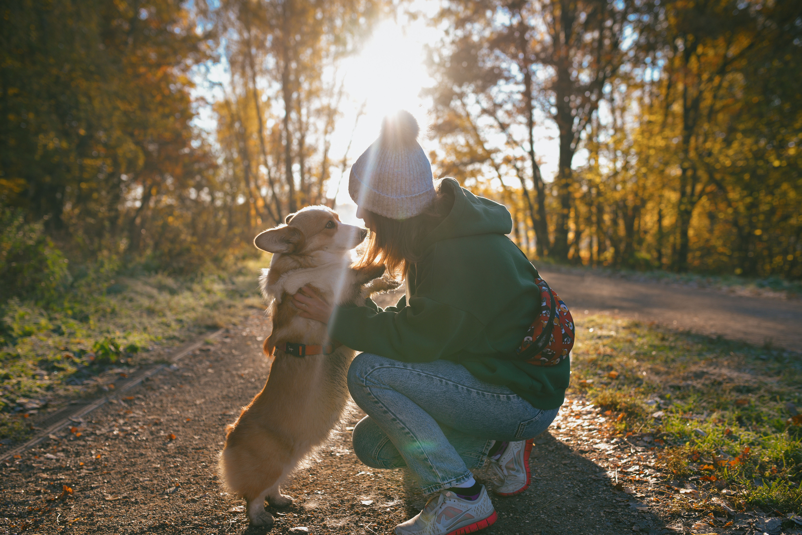 Фотосессия с питомцем в Москве. Свадебный фотограф в Москве Анна Полушина