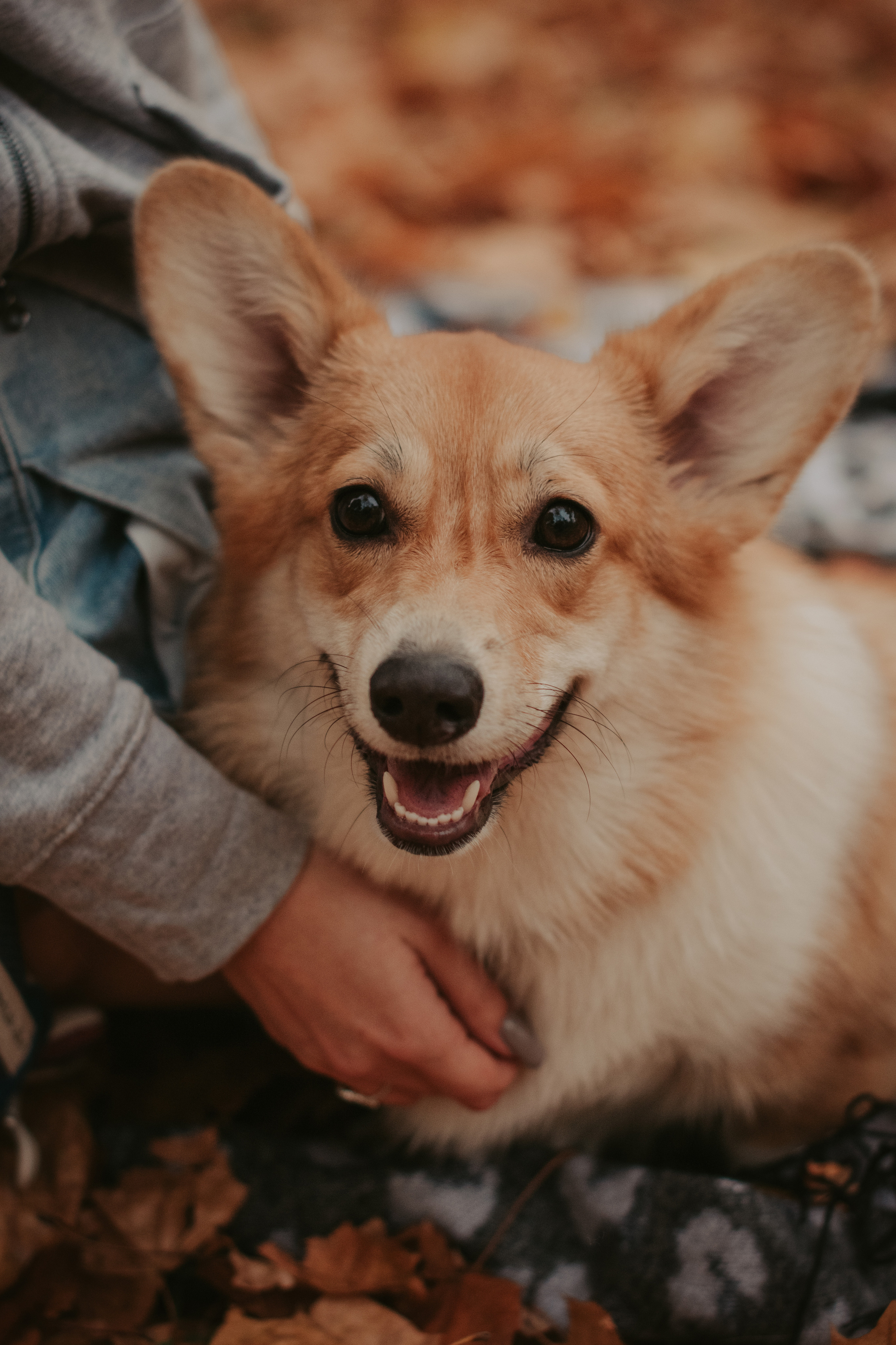 Марина и Мася, Новодевичий сквер. Свадебный фотограф в Москве Анна Полушина