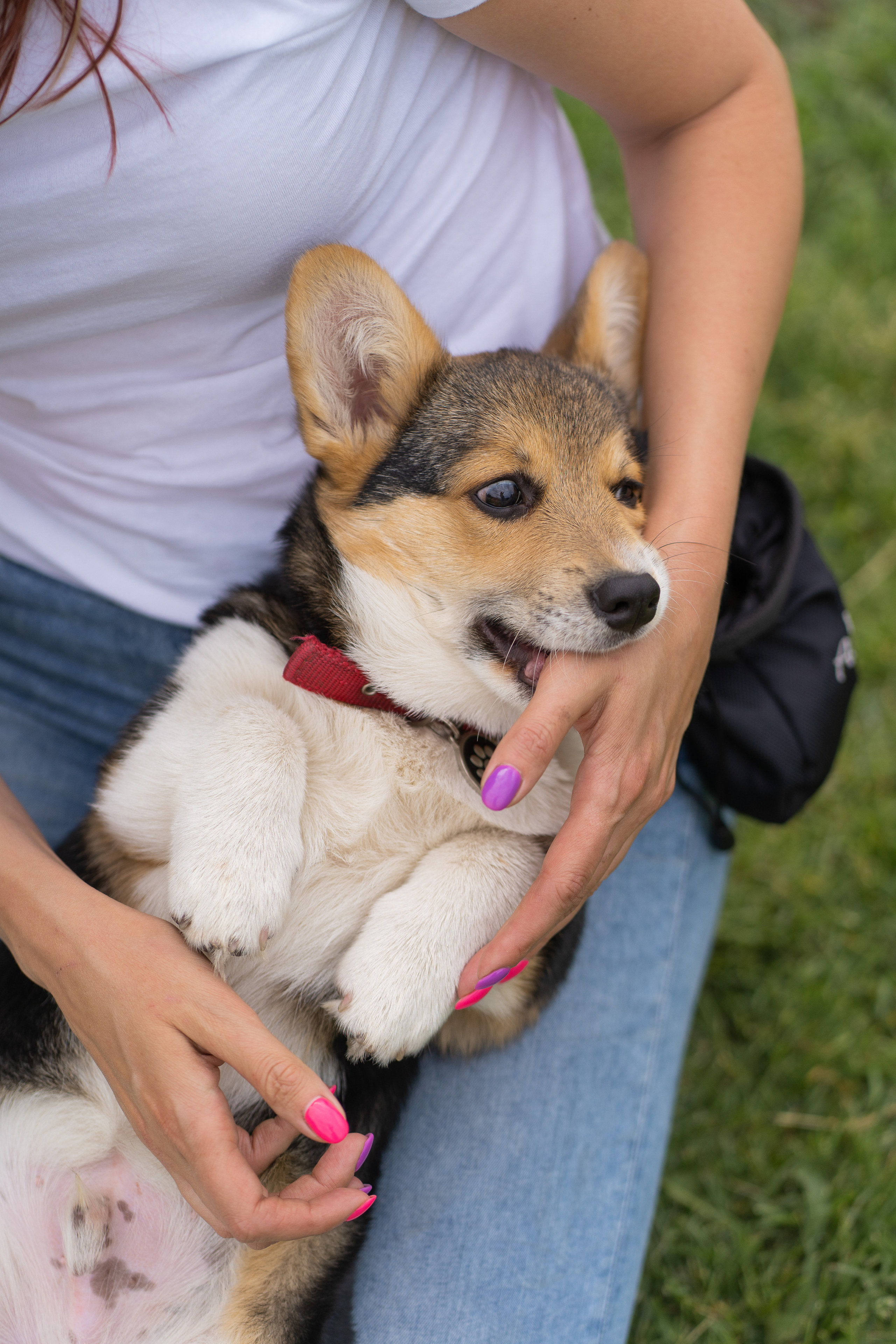 Каспер и Полина, Ботанический сад. Свадебный фотограф в Москве Анна Полушина