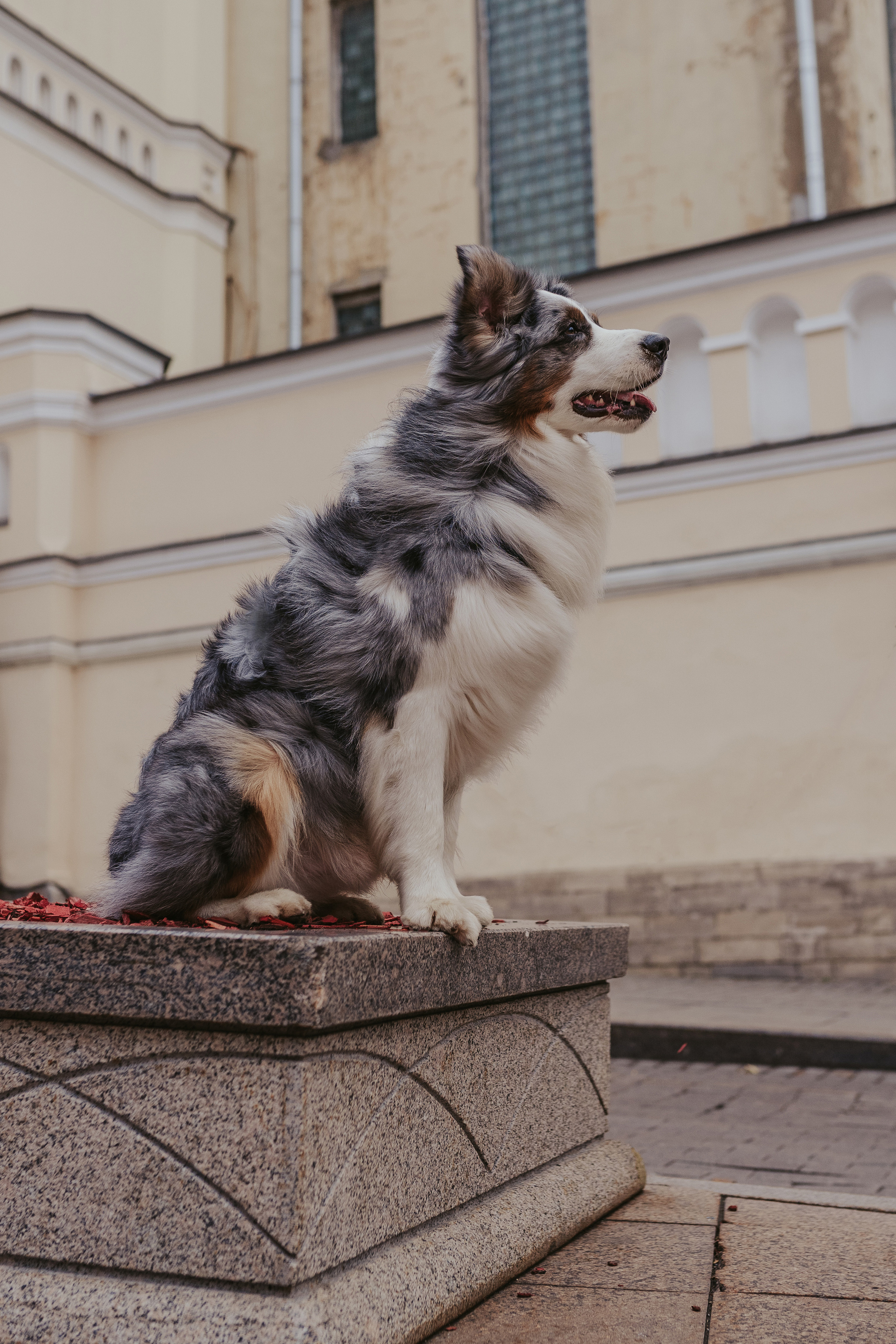 Лена и Принц, Китай- Город. Свадебный фотограф в Москве Анна Полушина