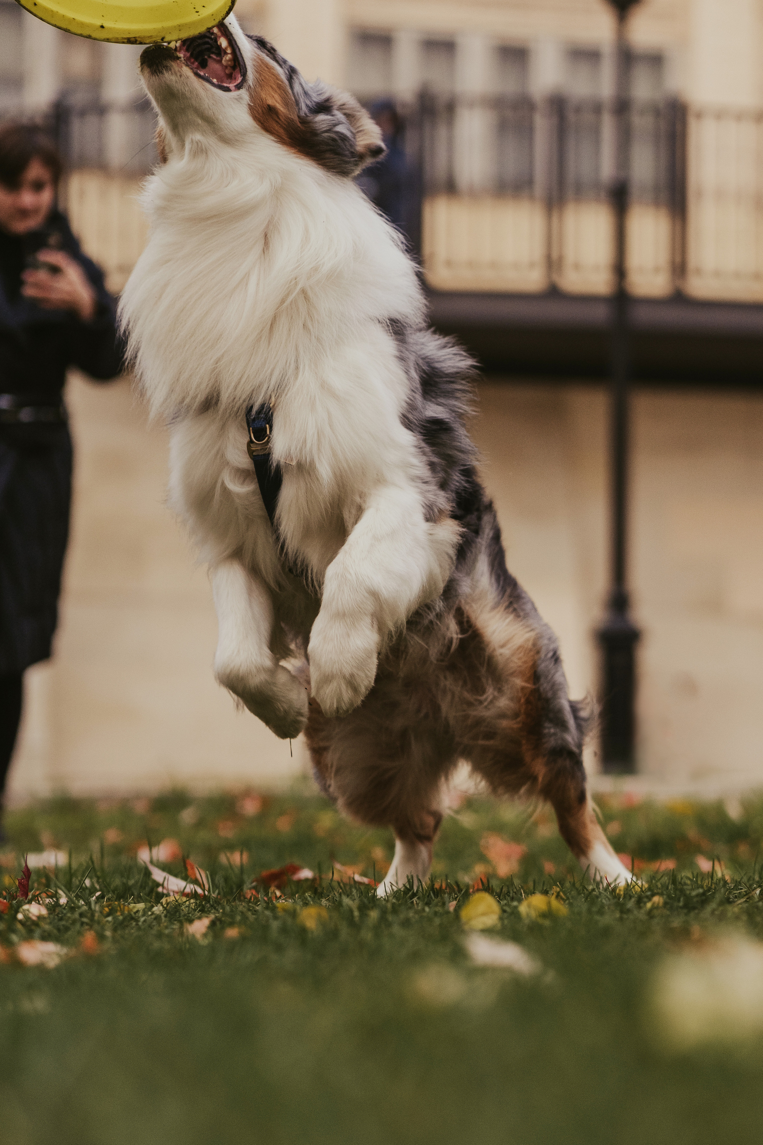 Лена и Принц, Китай- Город. Свадебный фотограф в Москве Анна Полушина
