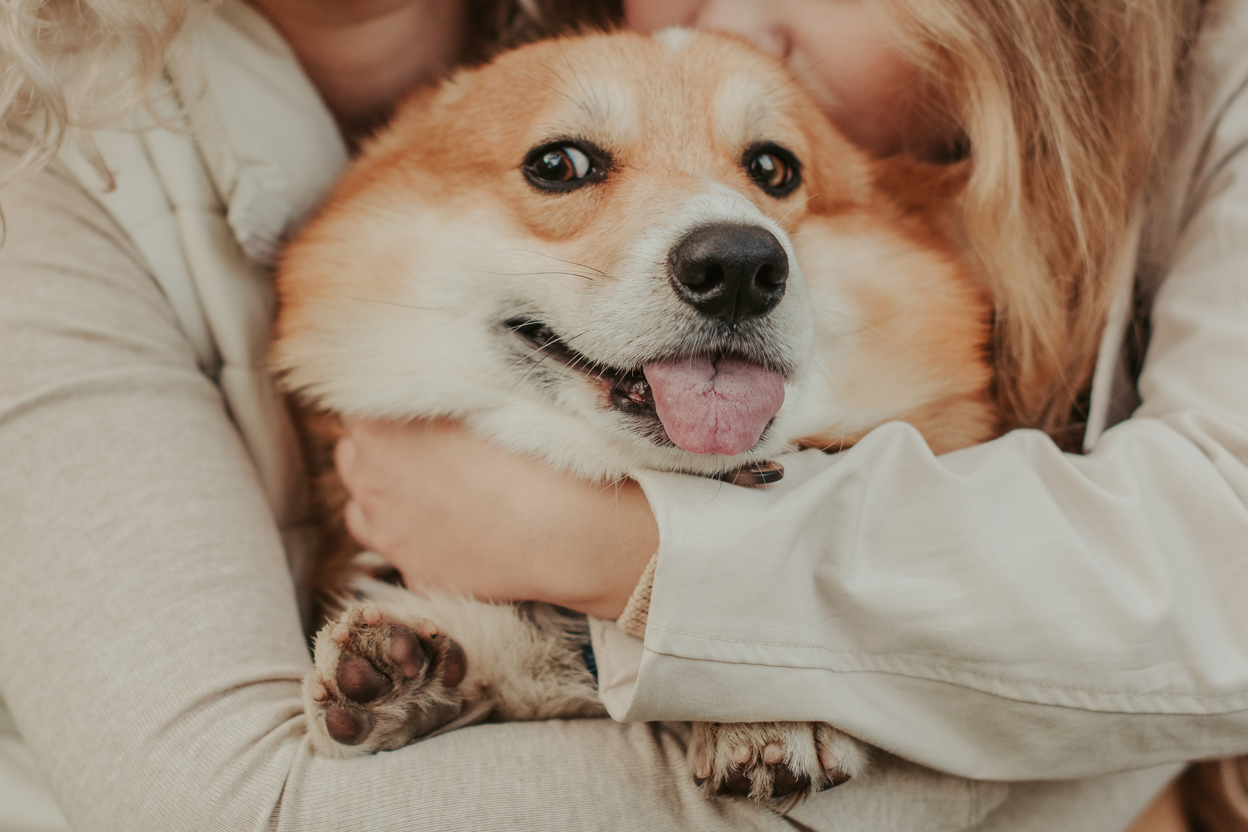 Наташа, Даша и Кевин. Свадебный фотограф в Москве Анна Полушина