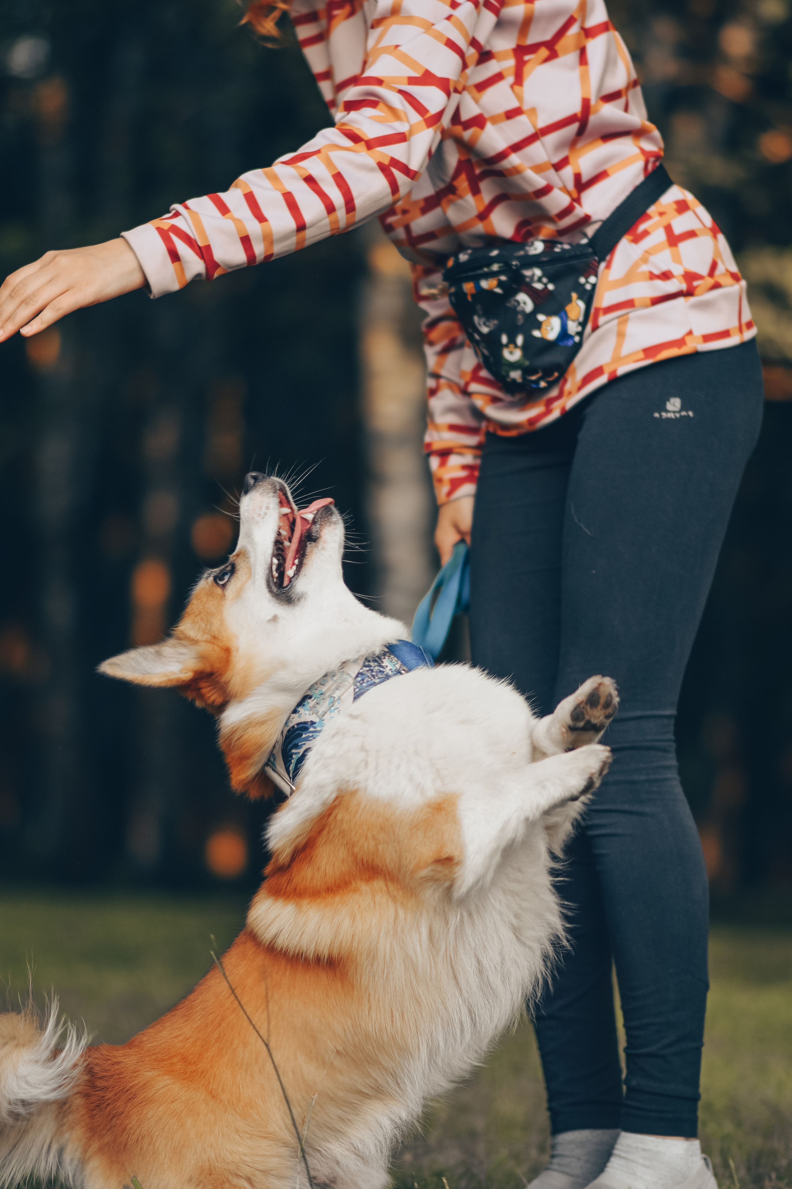 Алина и Ройс, парк на Яузе. Свадебный фотограф в Москве Анна Полушина