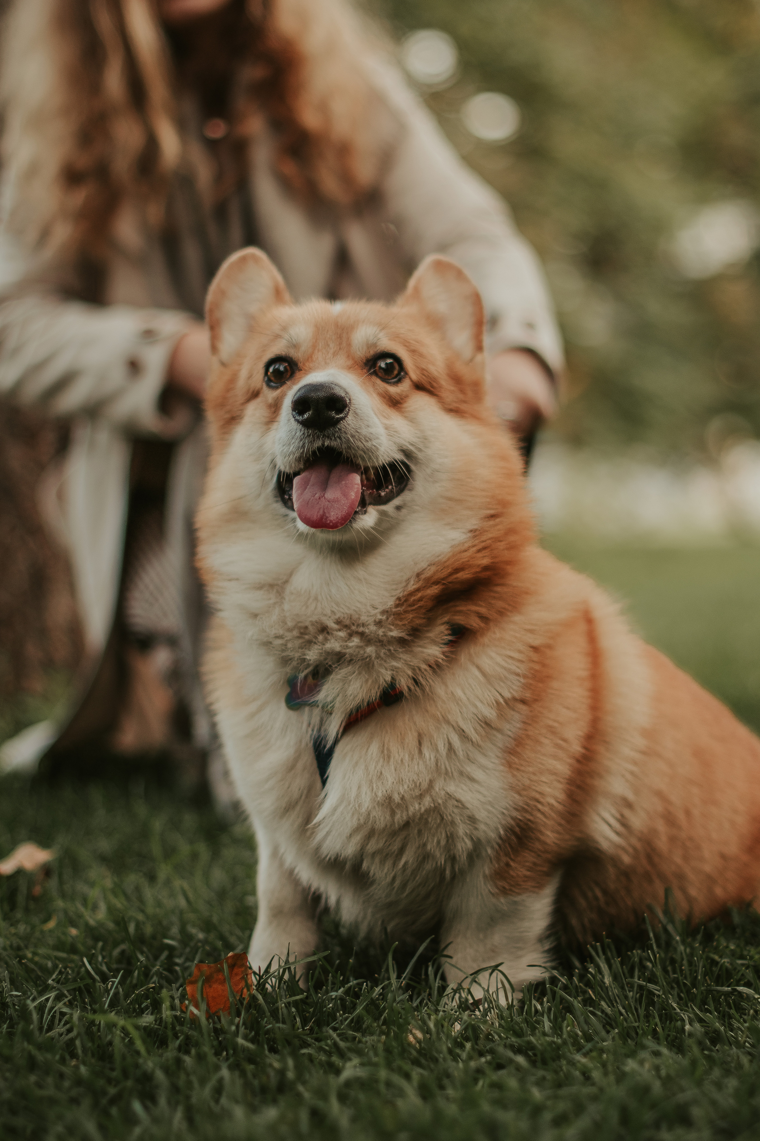Наташа, Даша и Кевин. Свадебный фотограф в Москве Анна Полушина