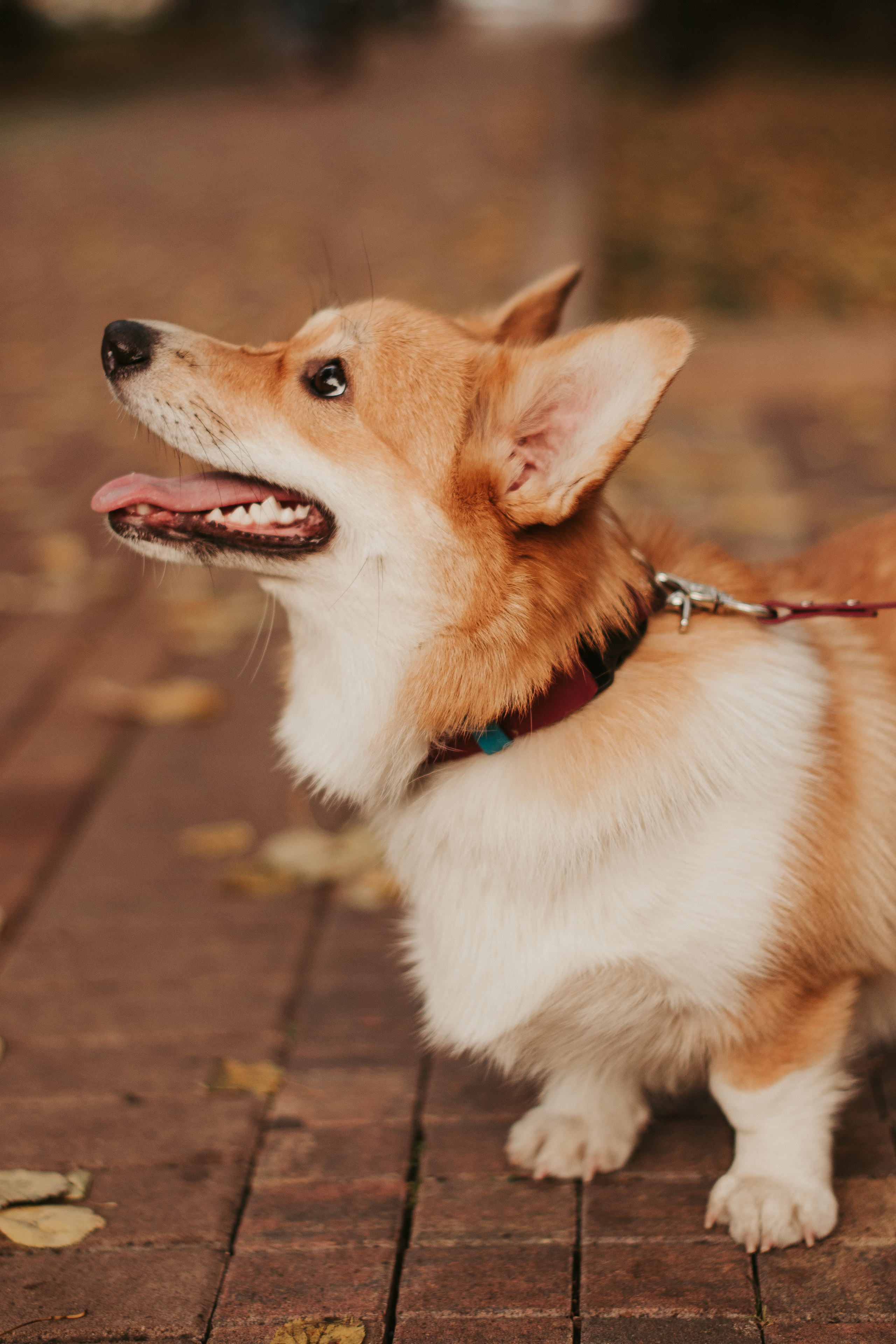 Марина и Мася, Новодевичий сквер. Свадебный фотограф в Москве Анна Полушина
