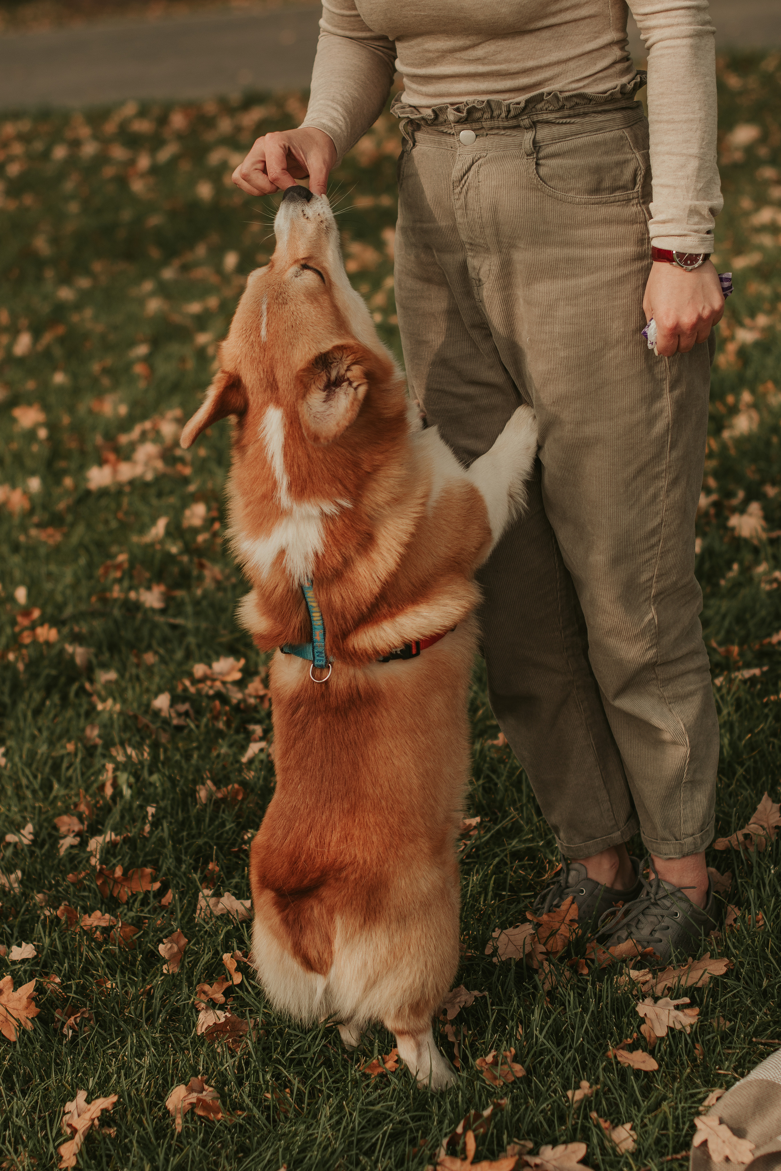 Наташа, Даша и Кевин. Свадебный фотограф в Москве Анна Полушина
