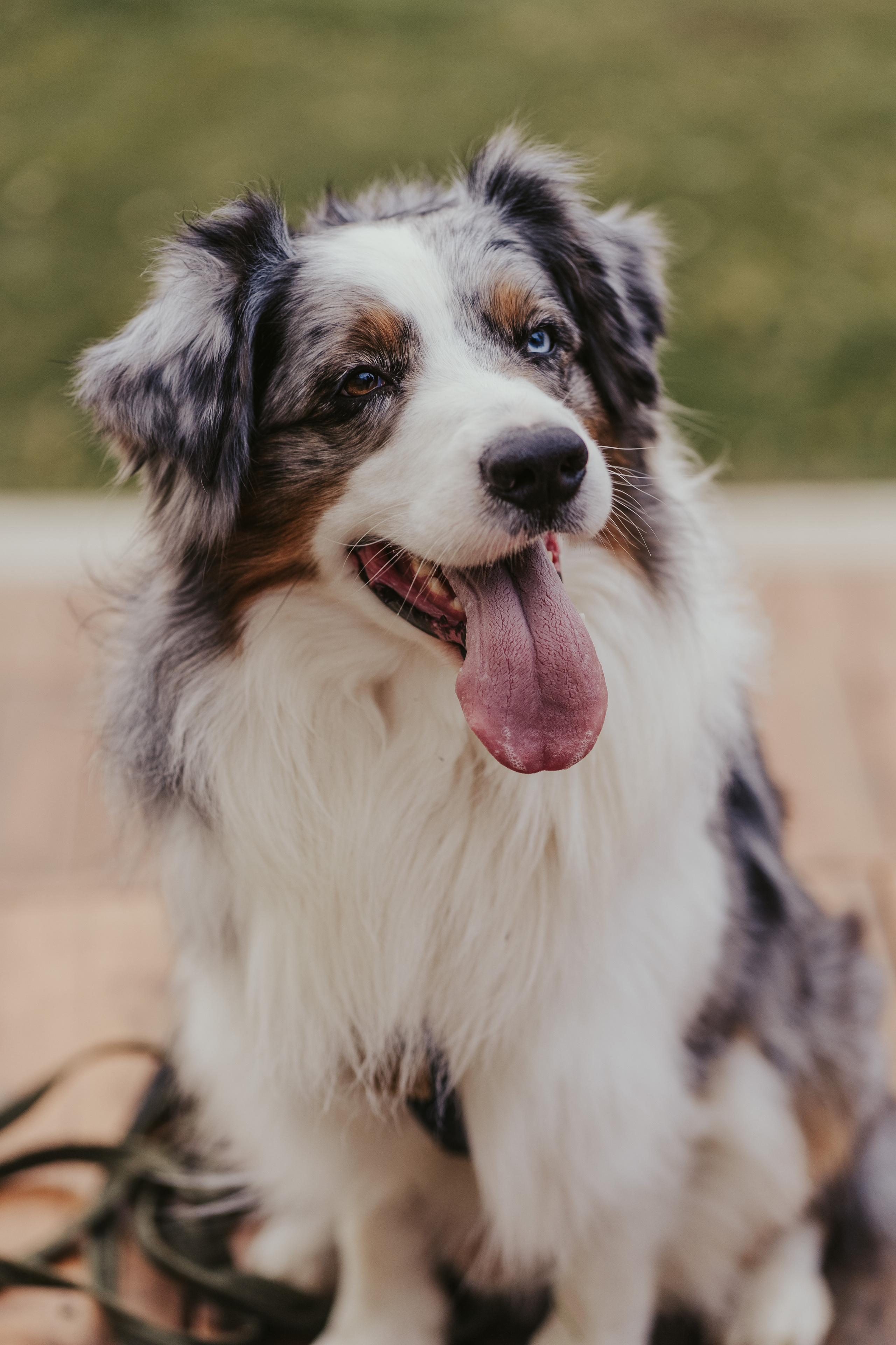 Лена и Принц, Китай- Город. Свадебный фотограф в Москве Анна Полушина