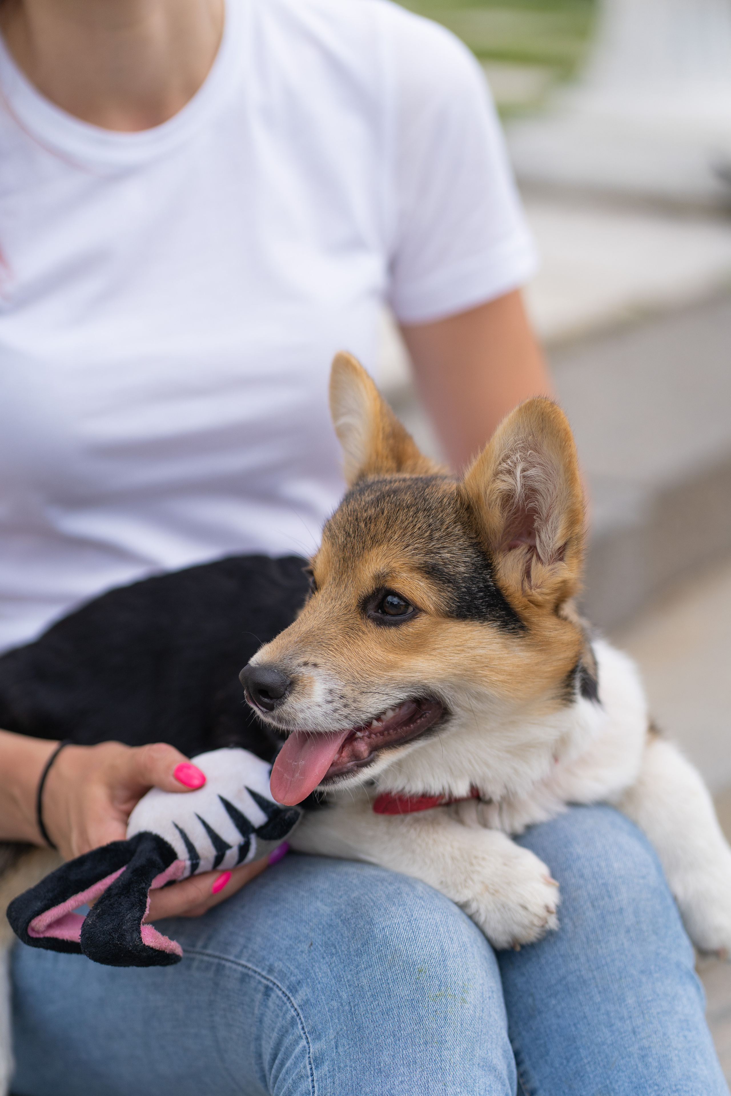 Каспер и Полина, Ботанический сад. Свадебный фотограф в Москве Анна Полушина