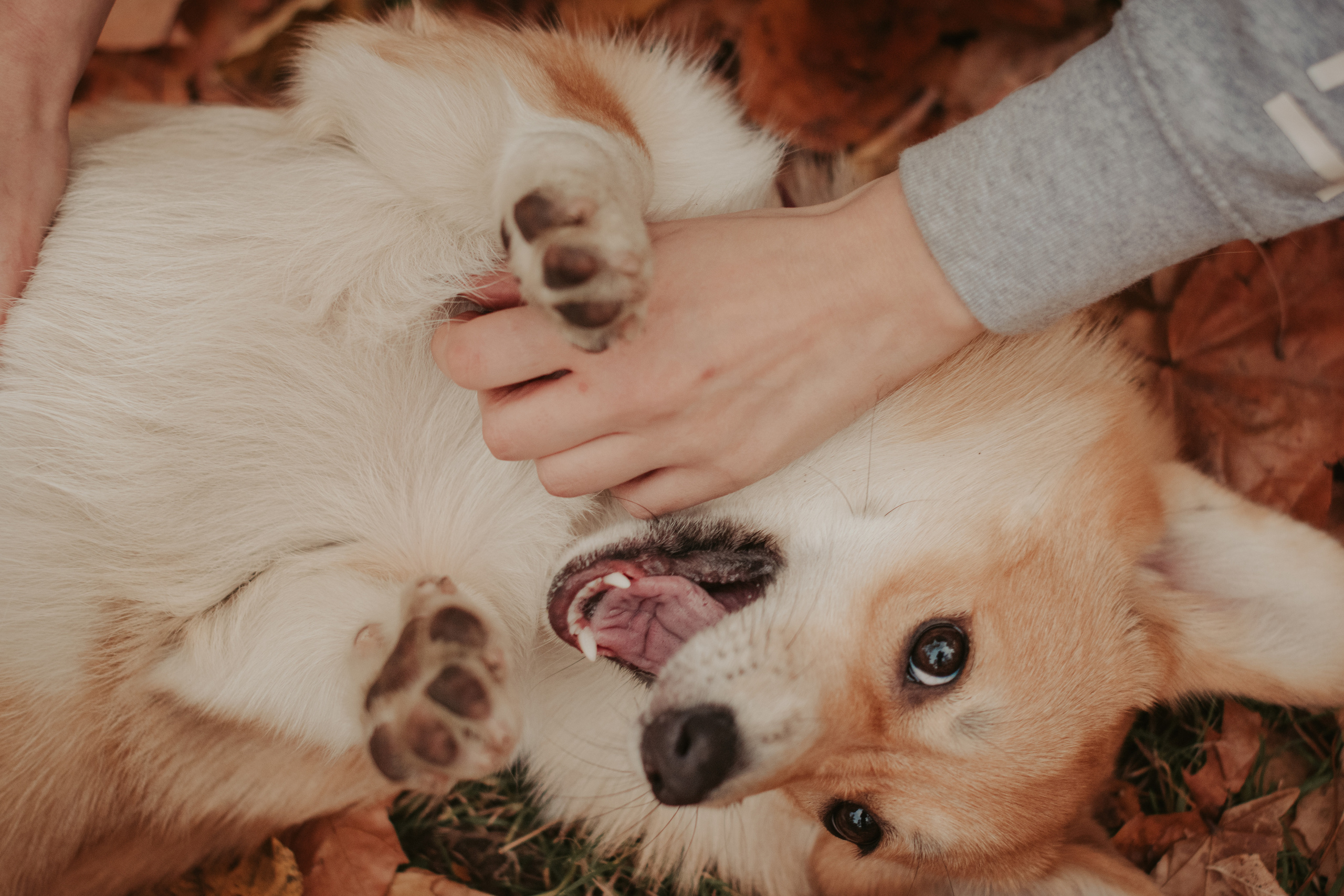 Марина и Мася, Новодевичий сквер. Свадебный фотограф в Москве Анна Полушина