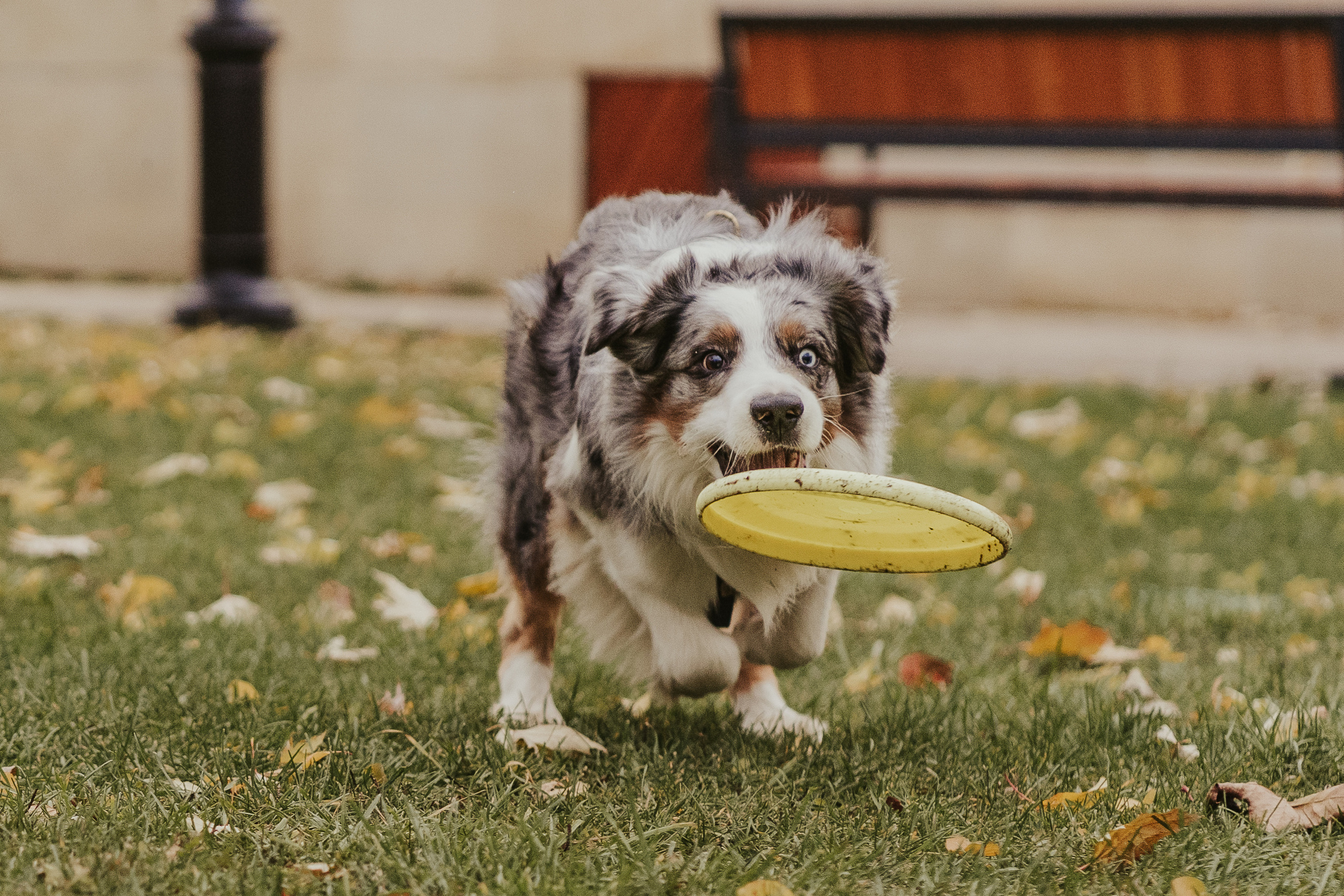 Лена и Принц, Китай- Город. Свадебный фотограф в Москве Анна Полушина