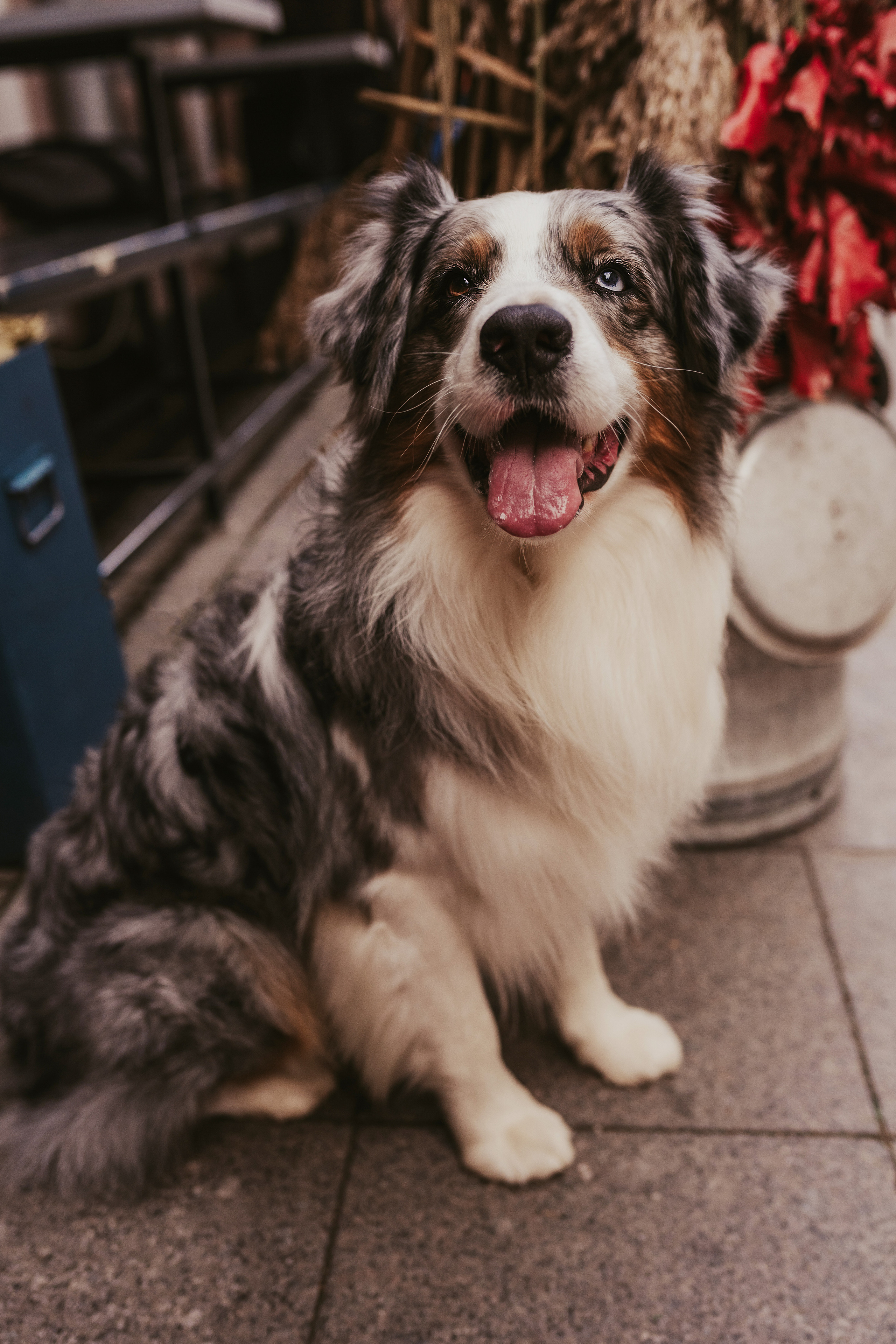 Лена и Принц, Китай- Город. Свадебный фотограф в Москве Анна Полушина