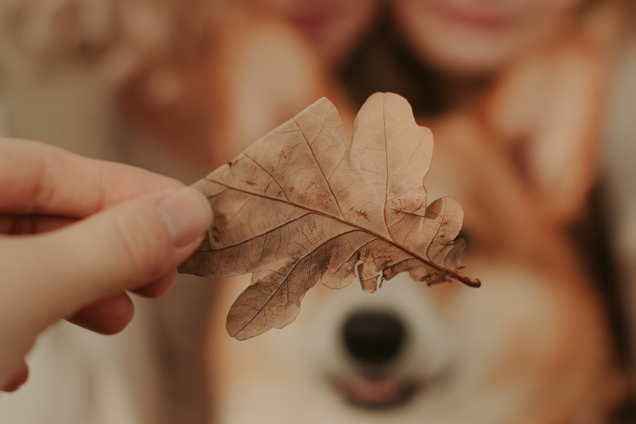Наташа, Даша и Кевин. Свадебный фотограф в Москве Анна Полушина