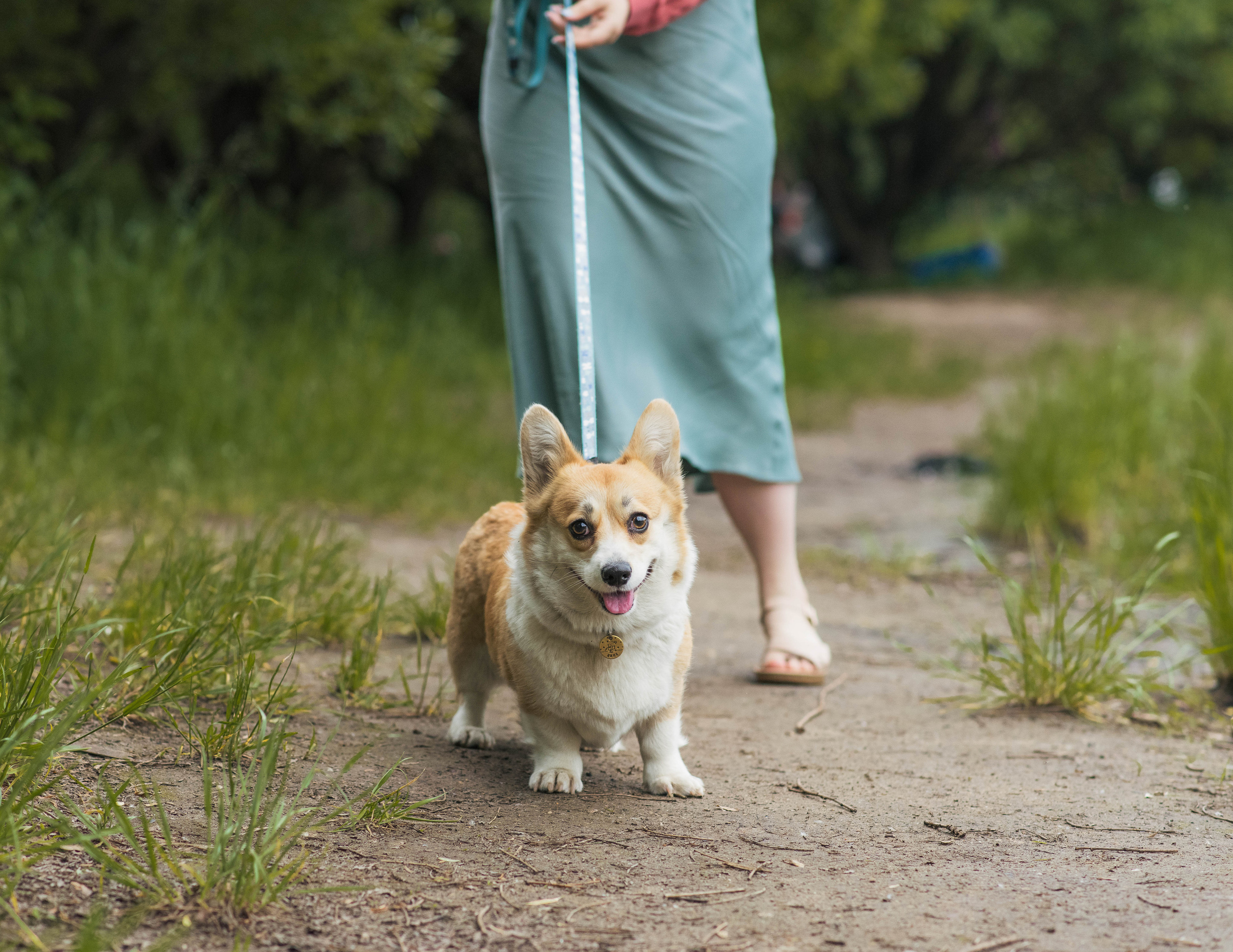 Юлия и Шаня, Покровское-Стрешнево. Свадебный фотограф в Москве Анна Полушина