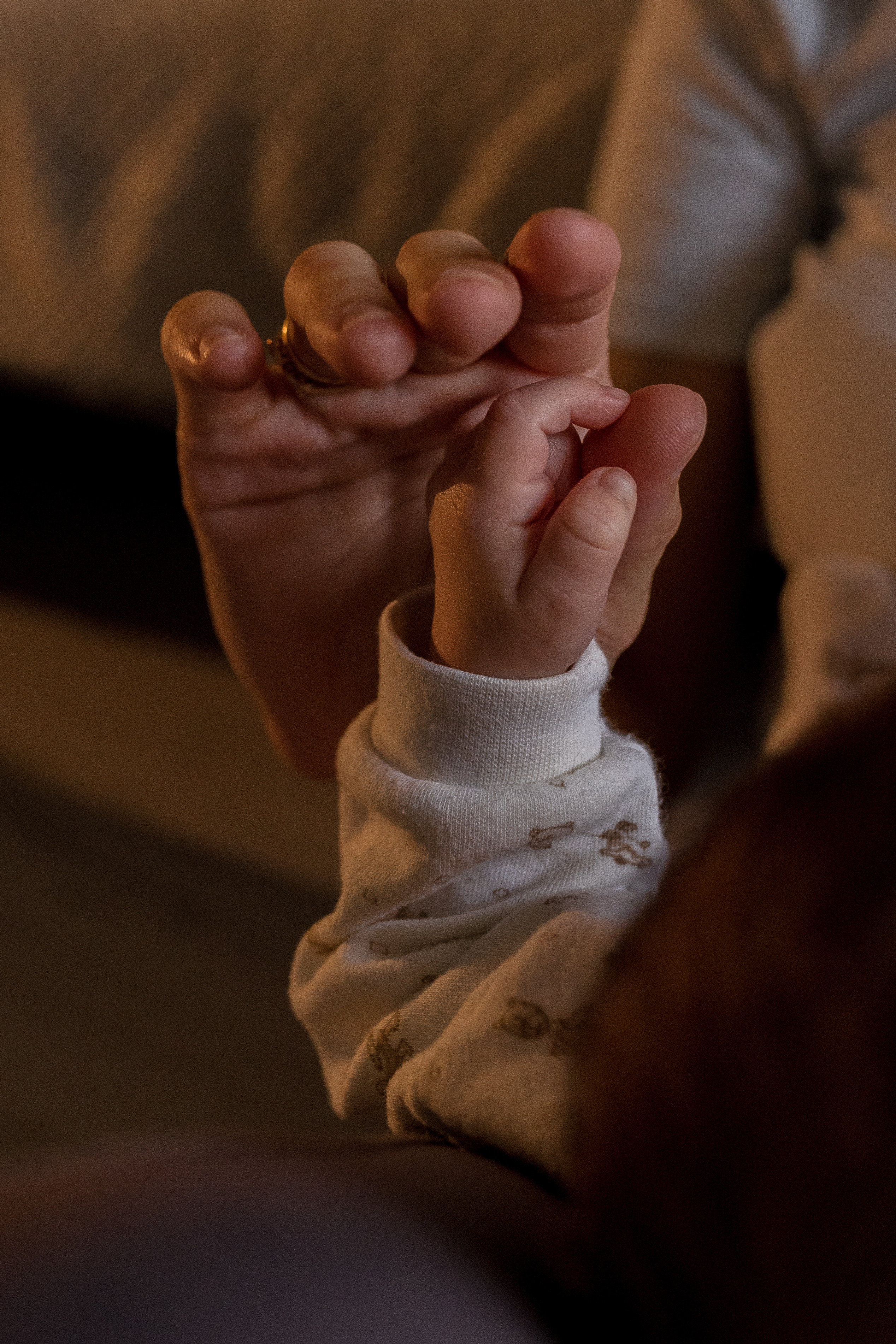 Семейная фотосессия в Москве, семейный фотограф Анна Полушина. Свадебный фотограф в Москве Анна Полушина