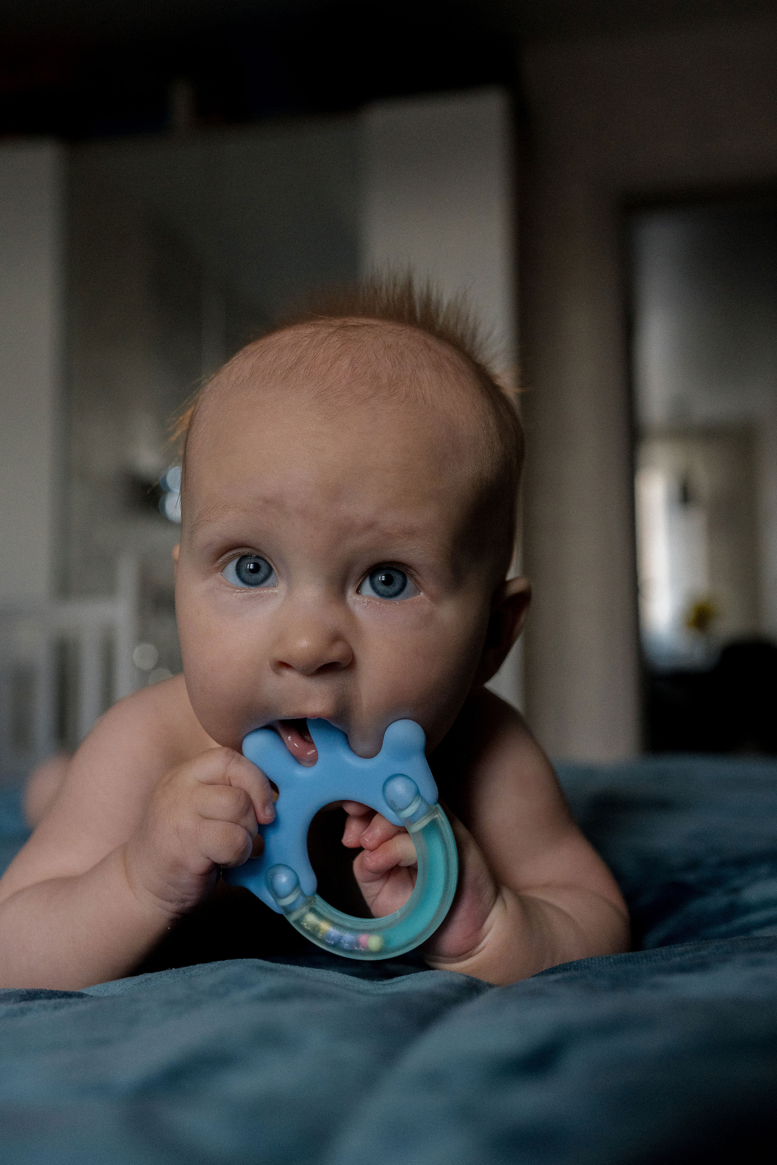 Семейная фотосессия в Москве, семейный фотограф Анна Полушина. Свадебный фотограф в Москве Анна Полушина
