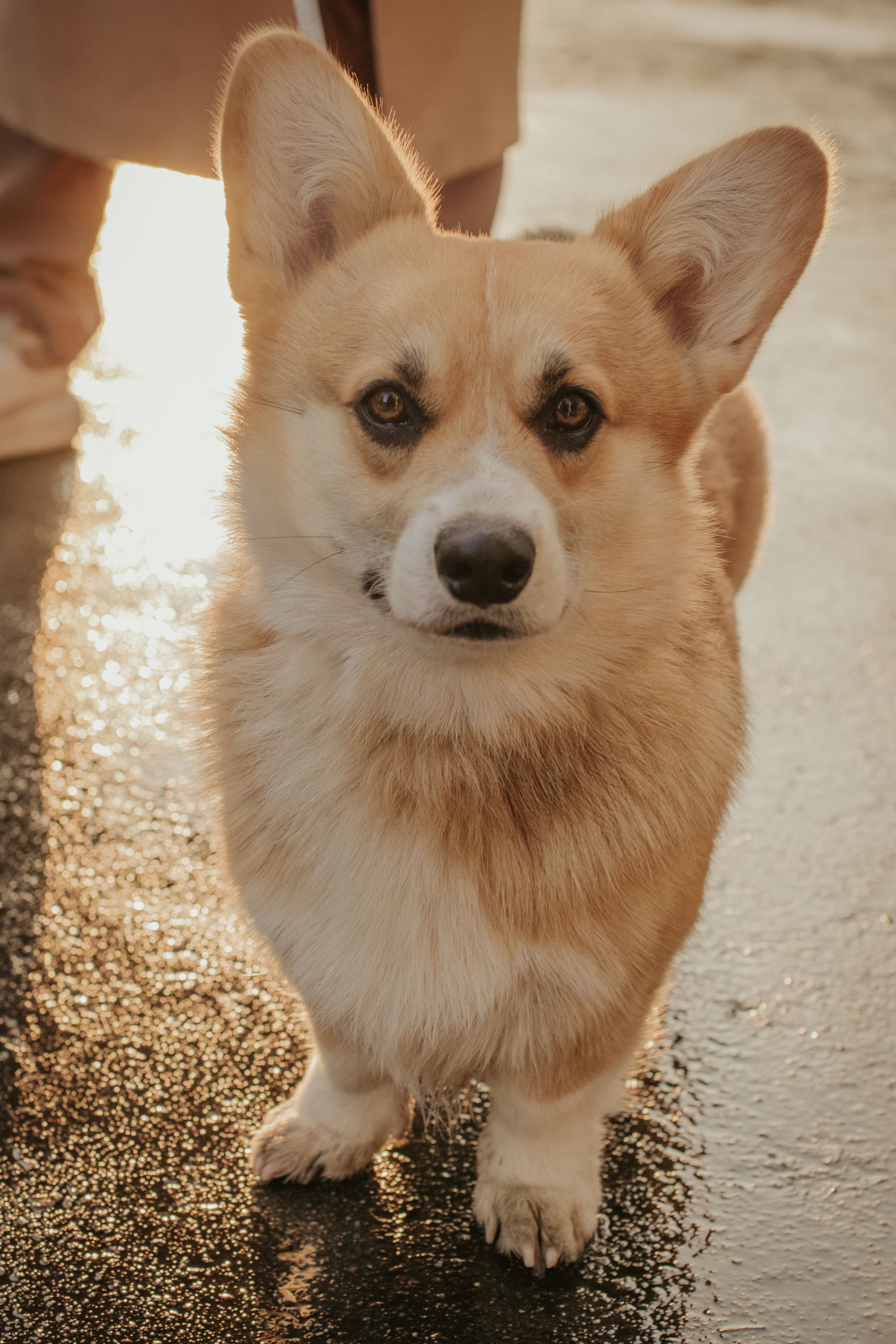 Катя и Оливер, Сокольники. Свадебный фотограф в Москве Анна Полушина