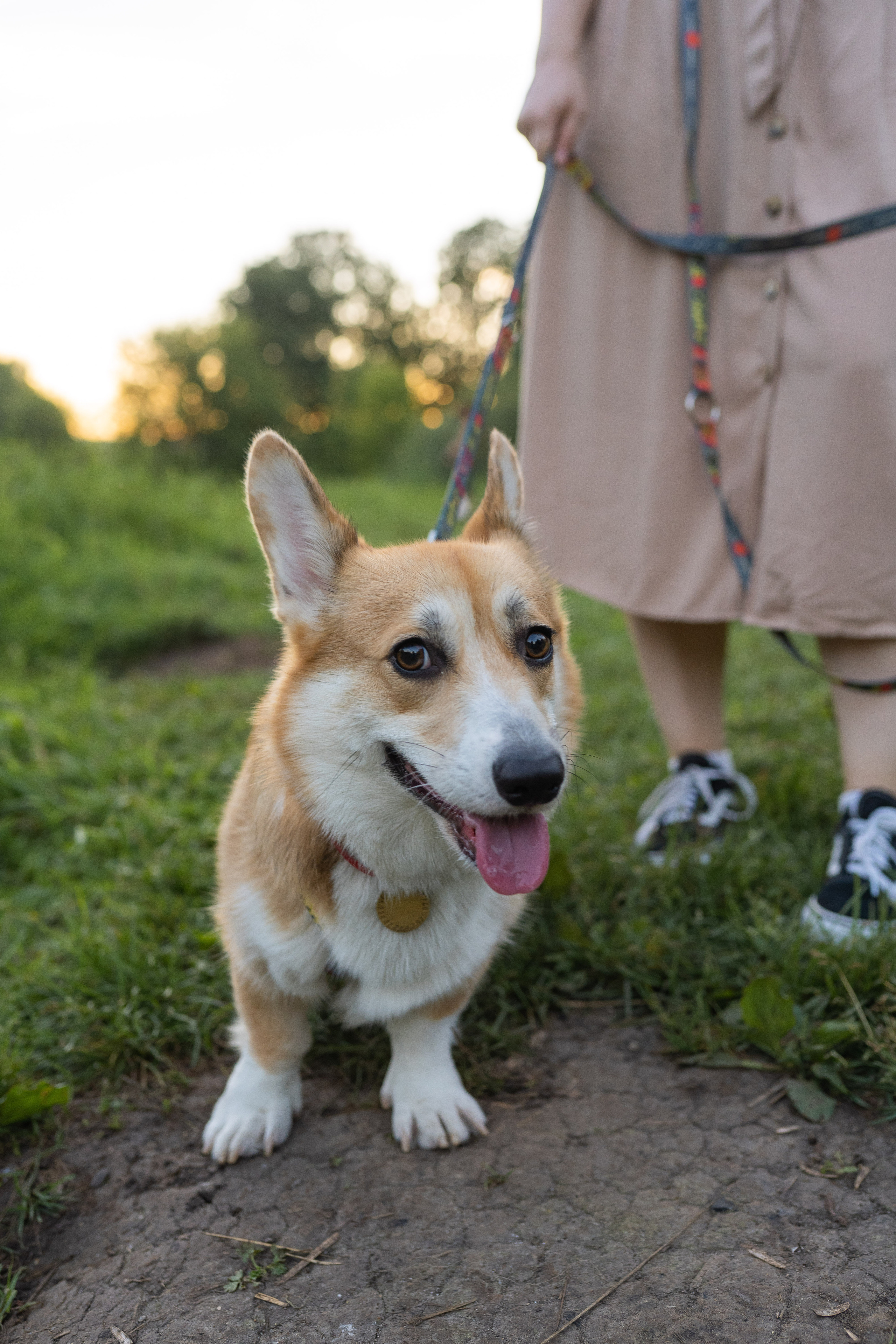 Катя и Боря, Джамгаровский парк. Свадебный фотограф в Москве Анна Полушина