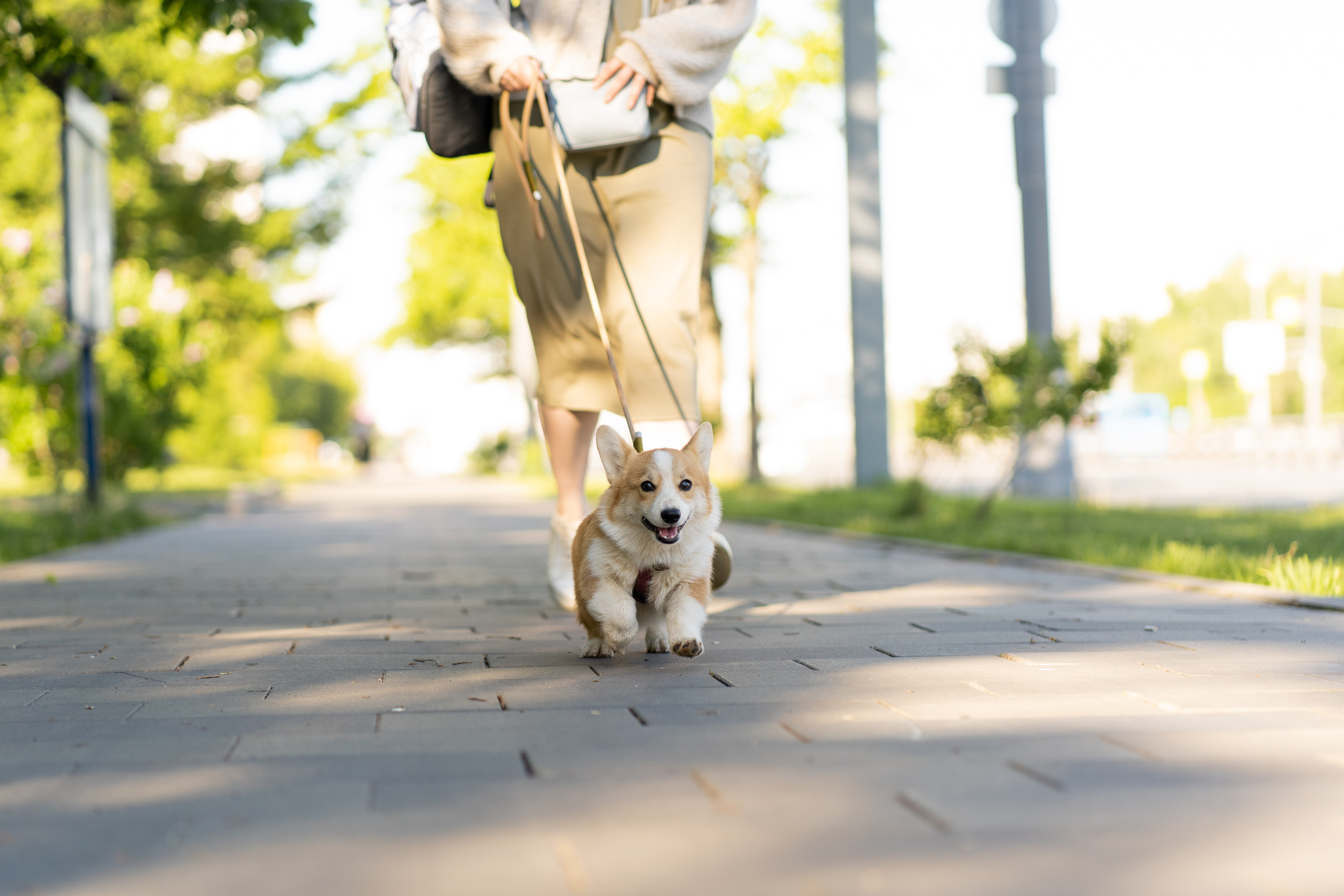 Полина и Стеша, Сиреневый сад. Свадебный фотограф в Москве Анна Полушина