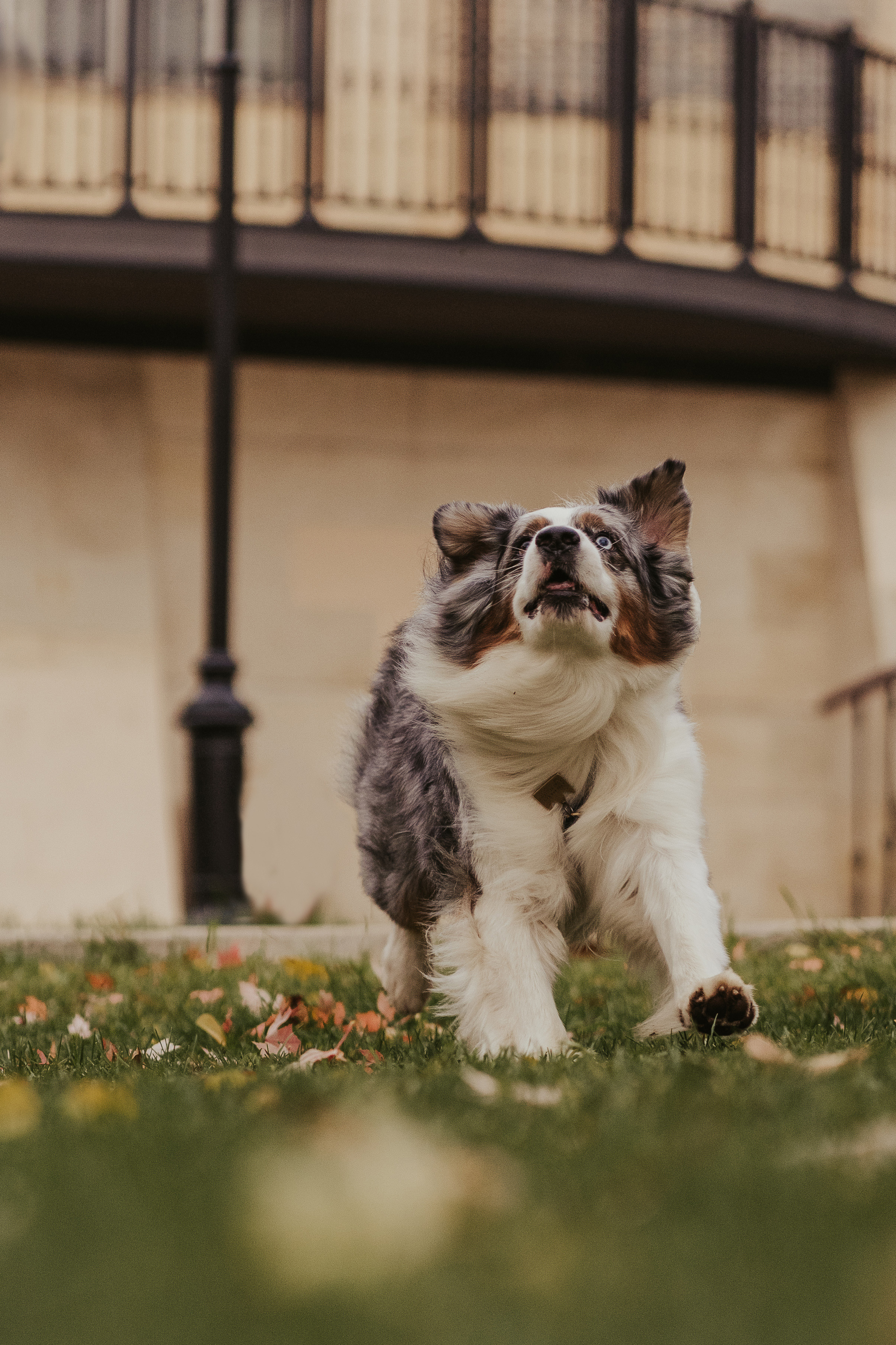 Лена и Принц, Китай- Город. Свадебный фотограф в Москве Анна Полушина