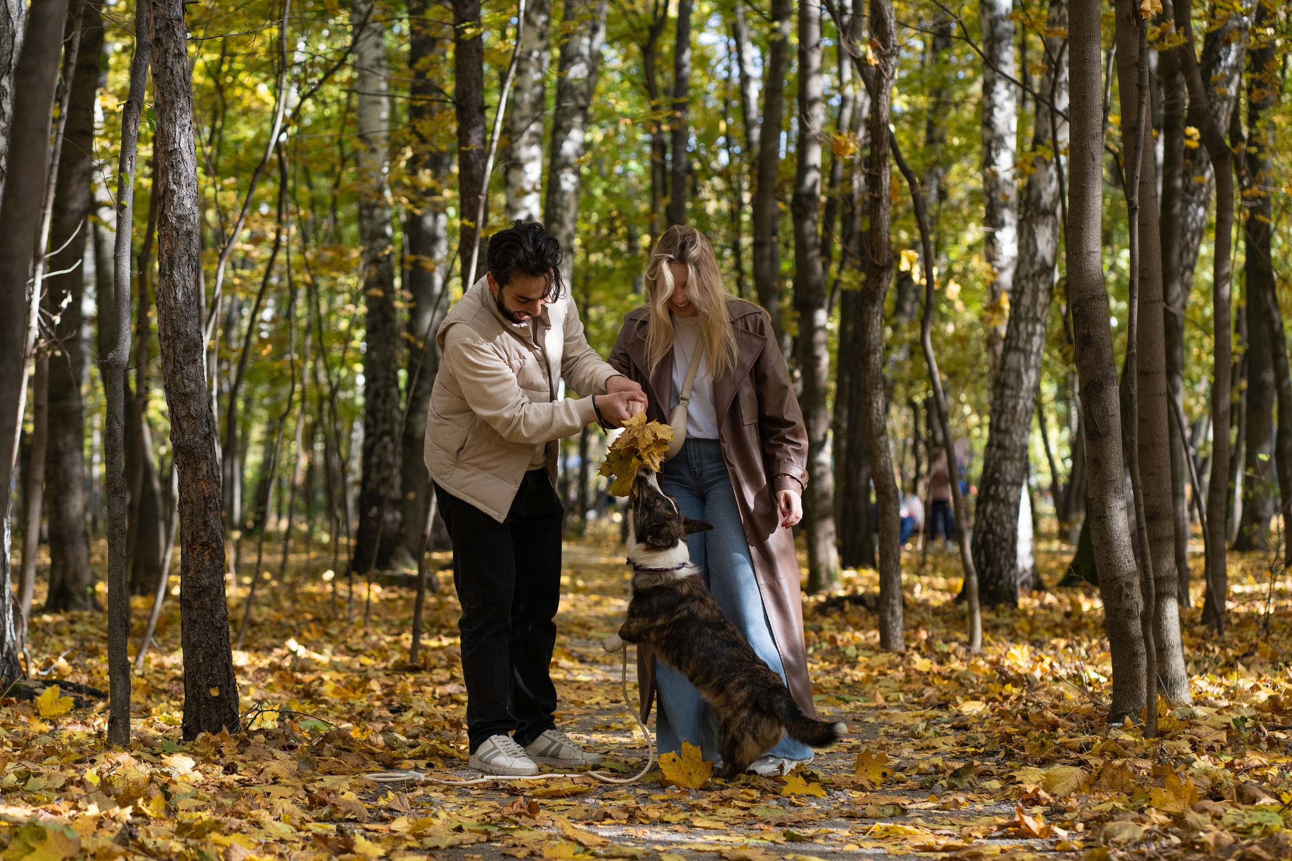 Боря, Даша и Маффин. Свадебный фотограф в Москве Анна Полушина