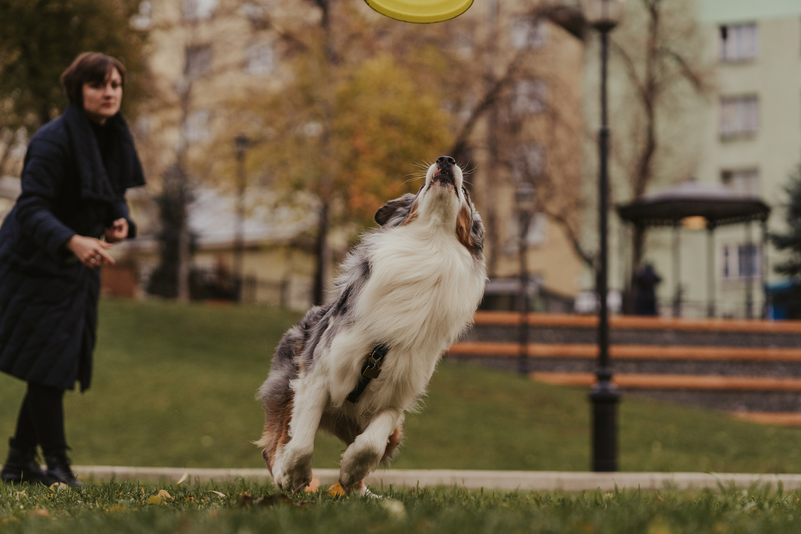 Лена и Принц, Китай- Город. Свадебный фотограф в Москве Анна Полушина