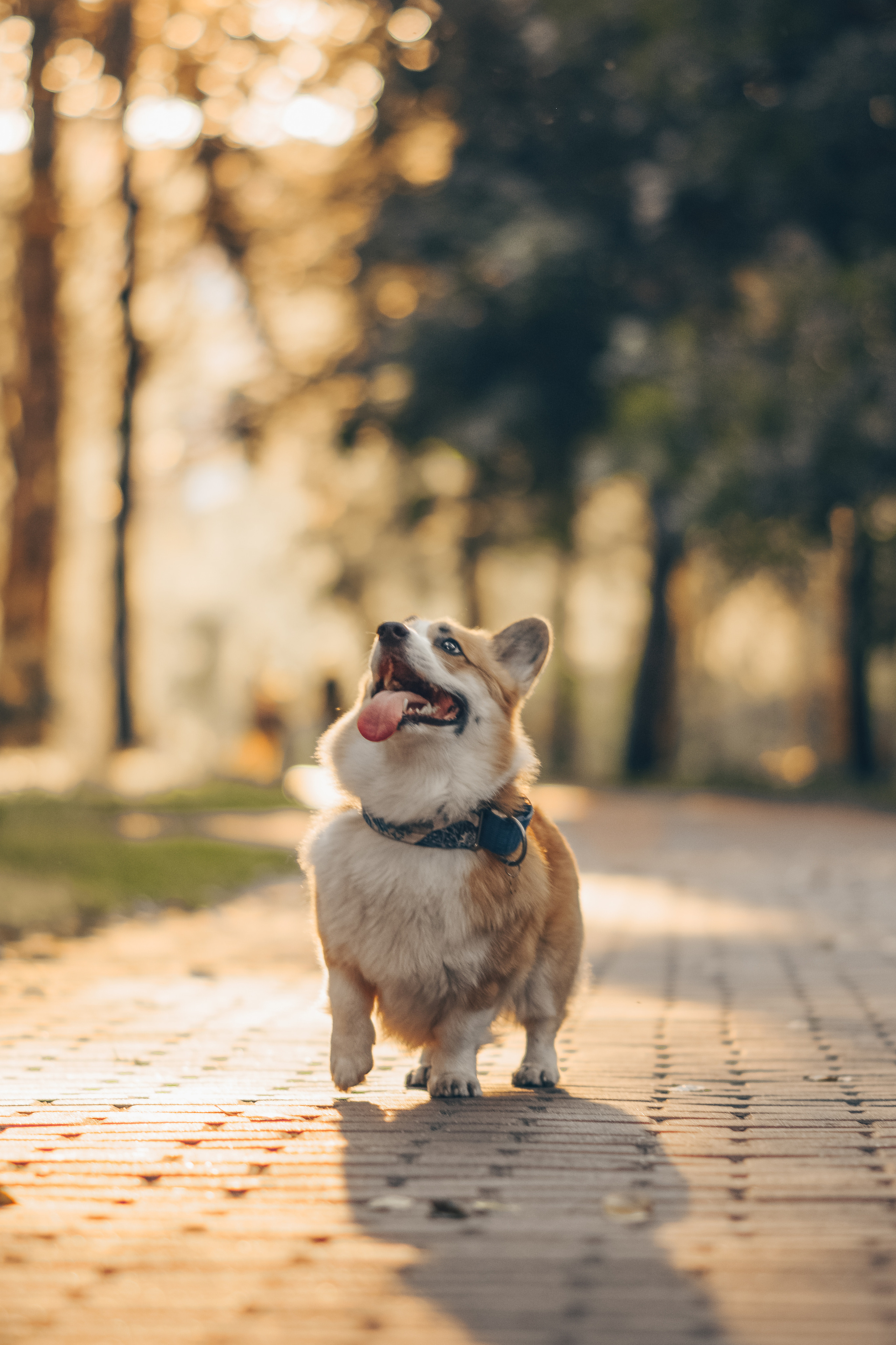 Алина и Ройс, парк на Яузе. Свадебный фотограф в Москве Анна Полушина