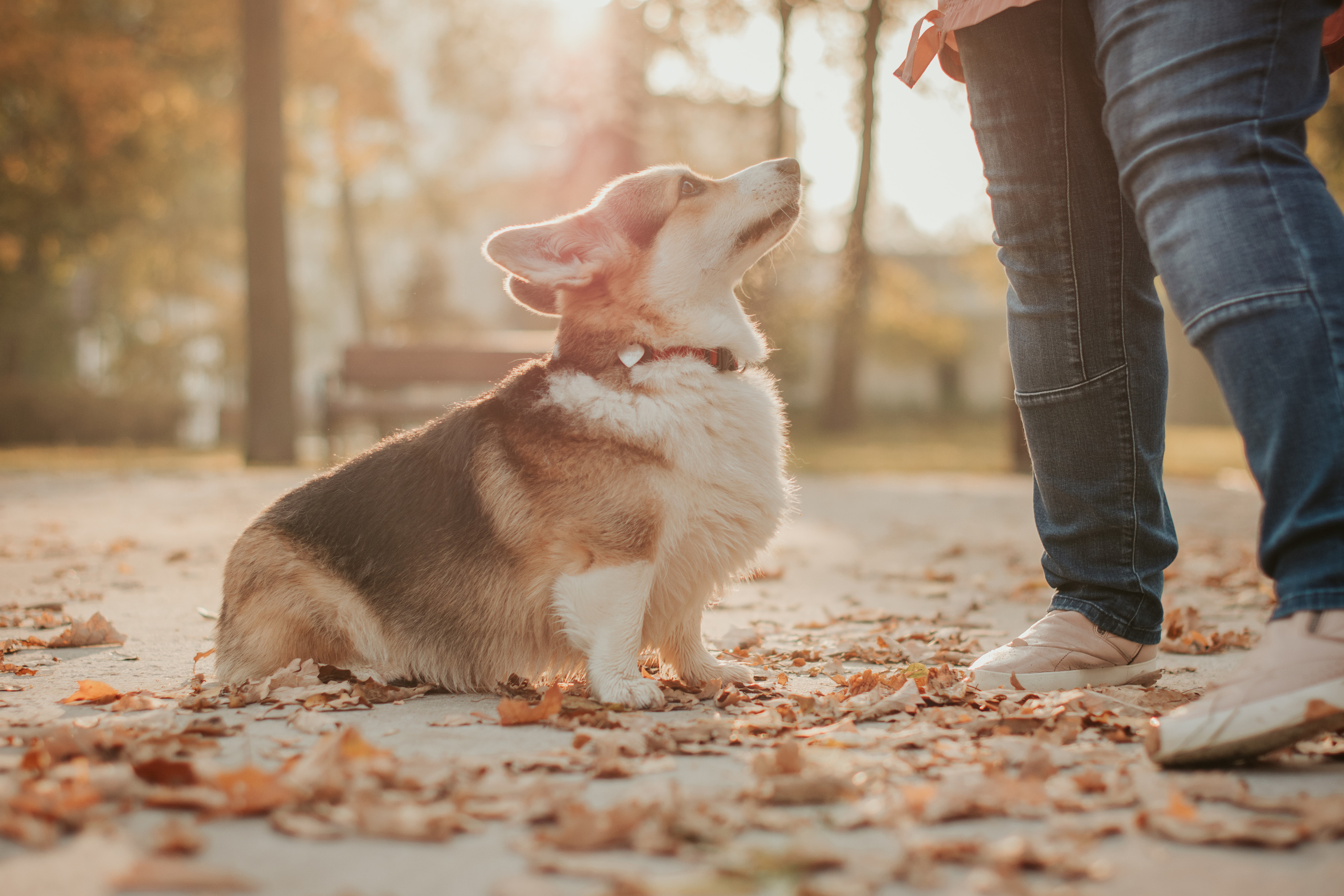 Аня и Булочка, Сокольники. Свадебный фотограф в Москве Анна Полушина
