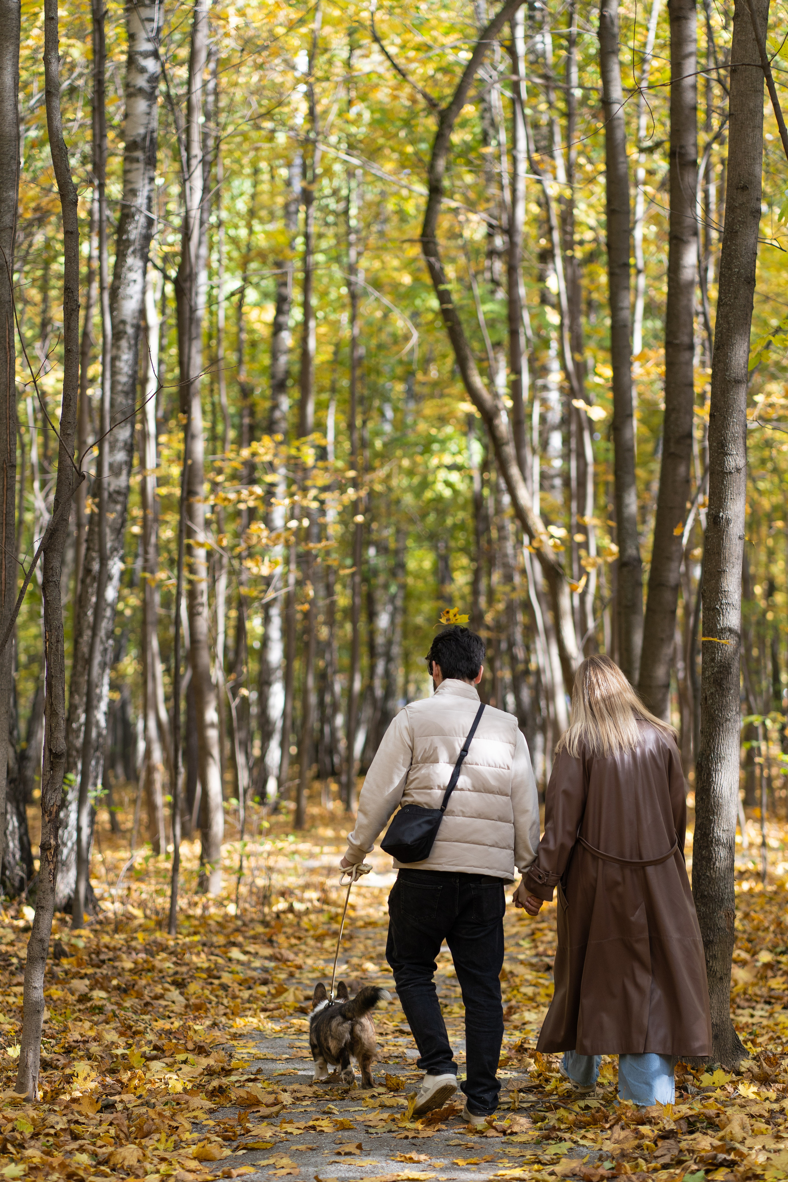 Боря, Даша и Маффин. Свадебный фотограф в Москве Анна Полушина