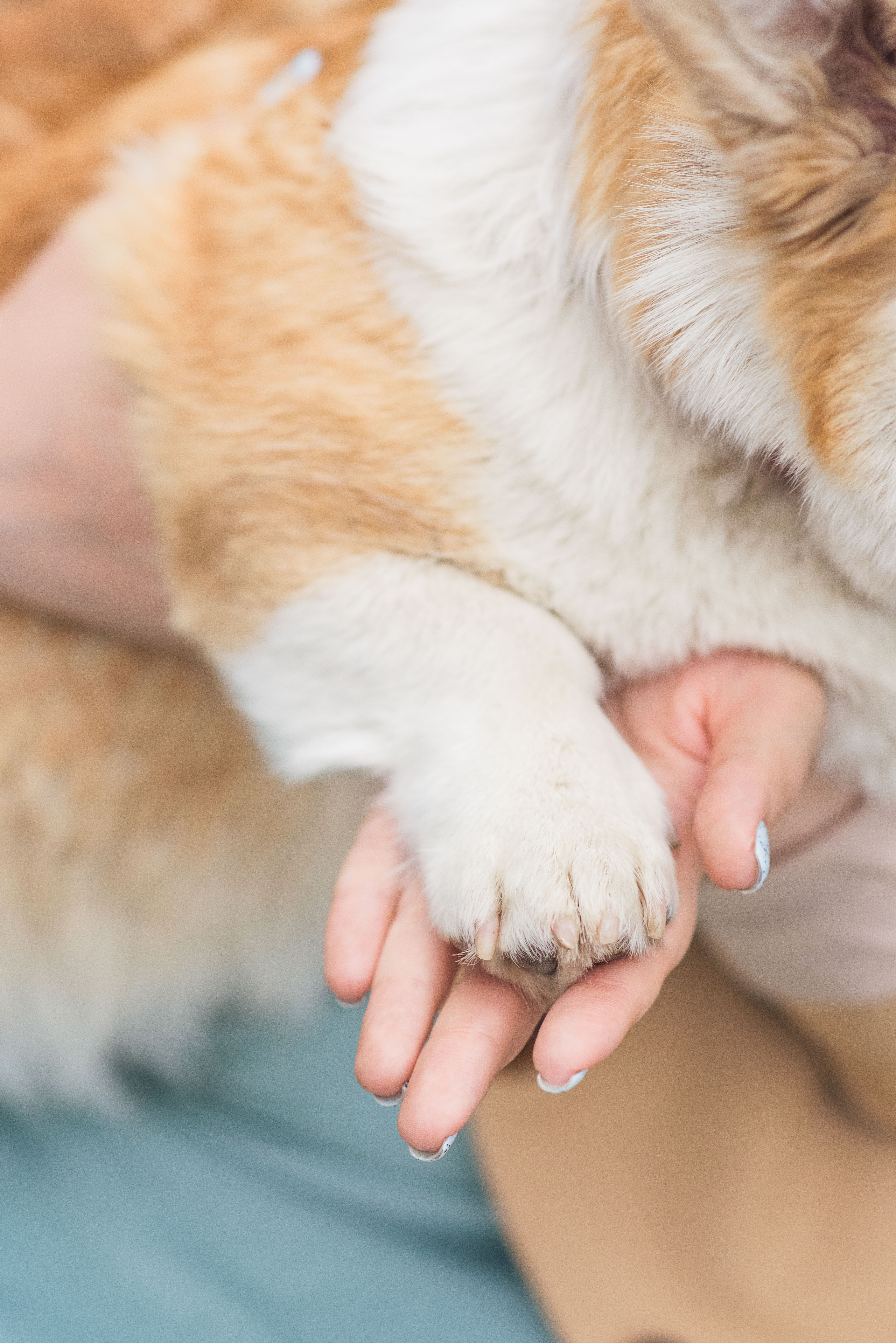 Юлия и Шаня, Покровское-Стрешнево. Свадебный фотограф в Москве Анна Полушина