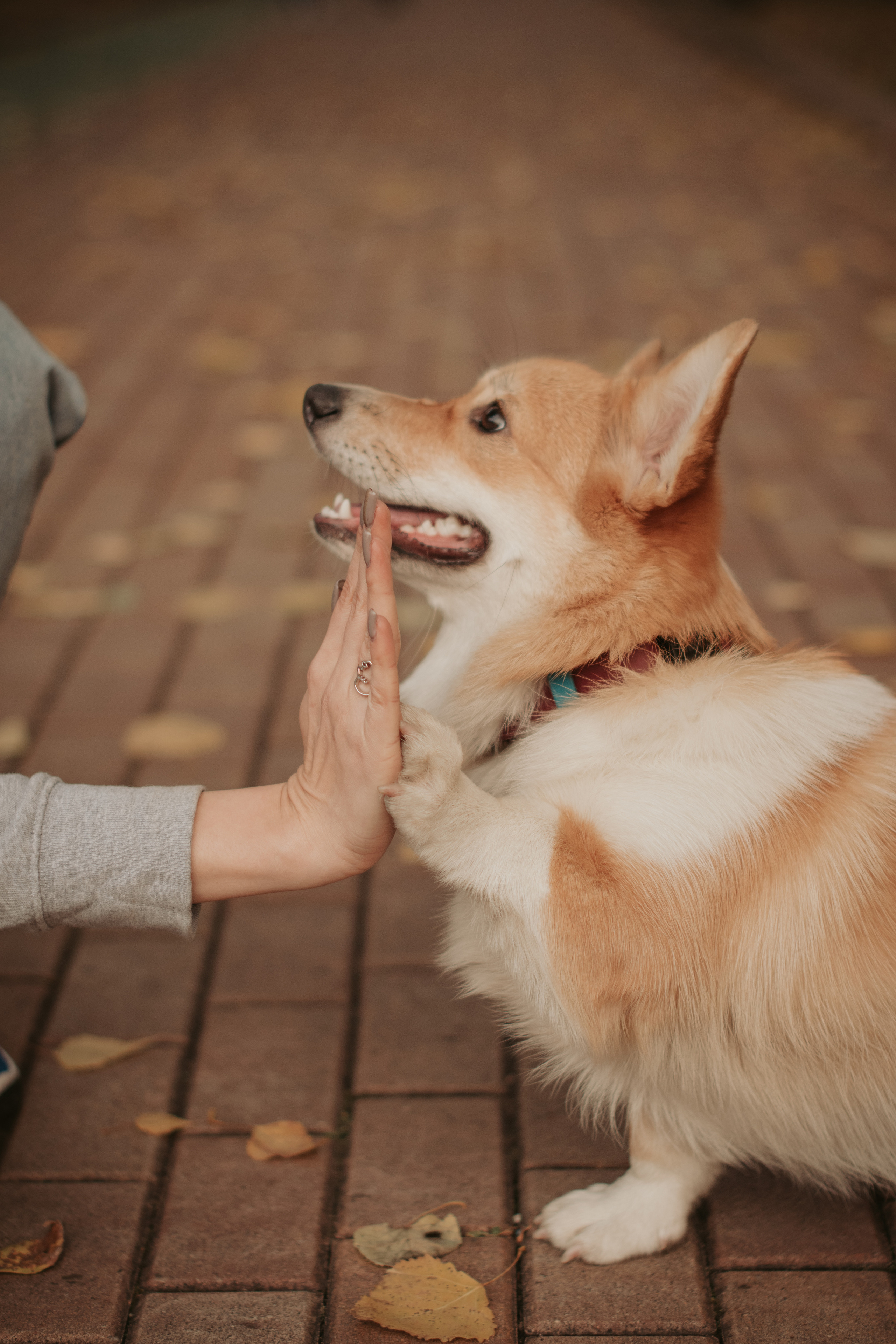 Марина и Мася, Новодевичий сквер. Свадебный фотограф в Москве Анна Полушина