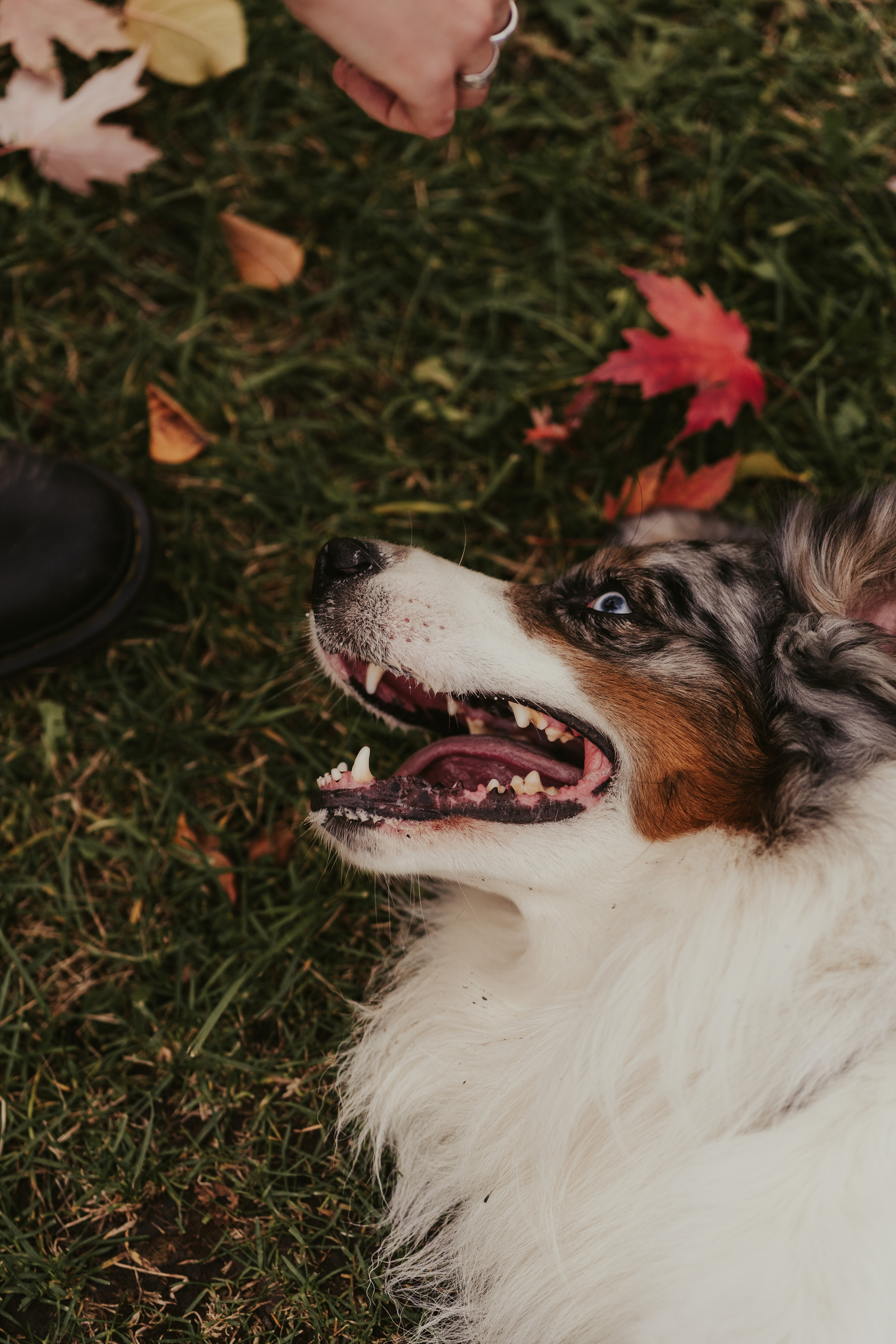 Лена и Принц, Китай- Город. Свадебный фотограф в Москве Анна Полушина