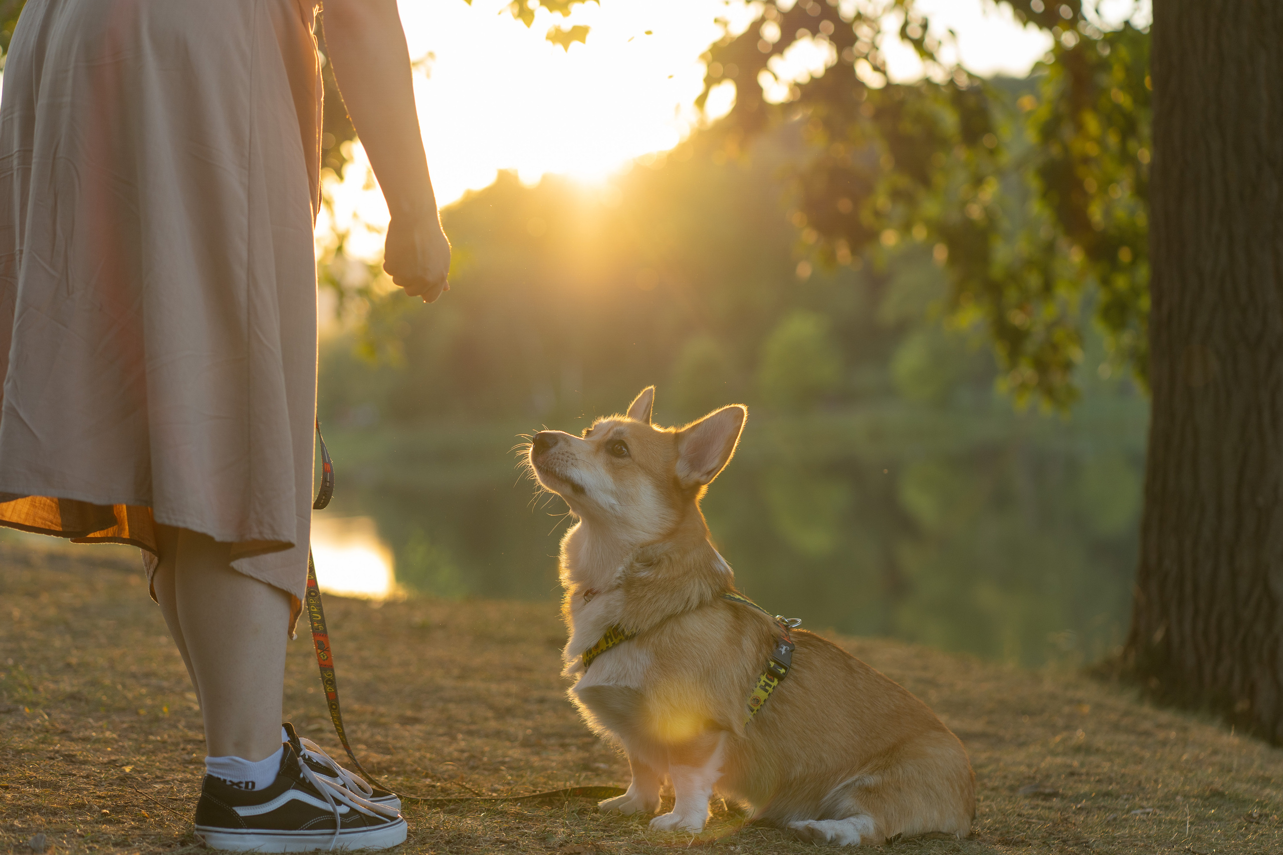 Катя и Боря, Джамгаровский парк. Свадебный фотограф в Москве Анна Полушина
