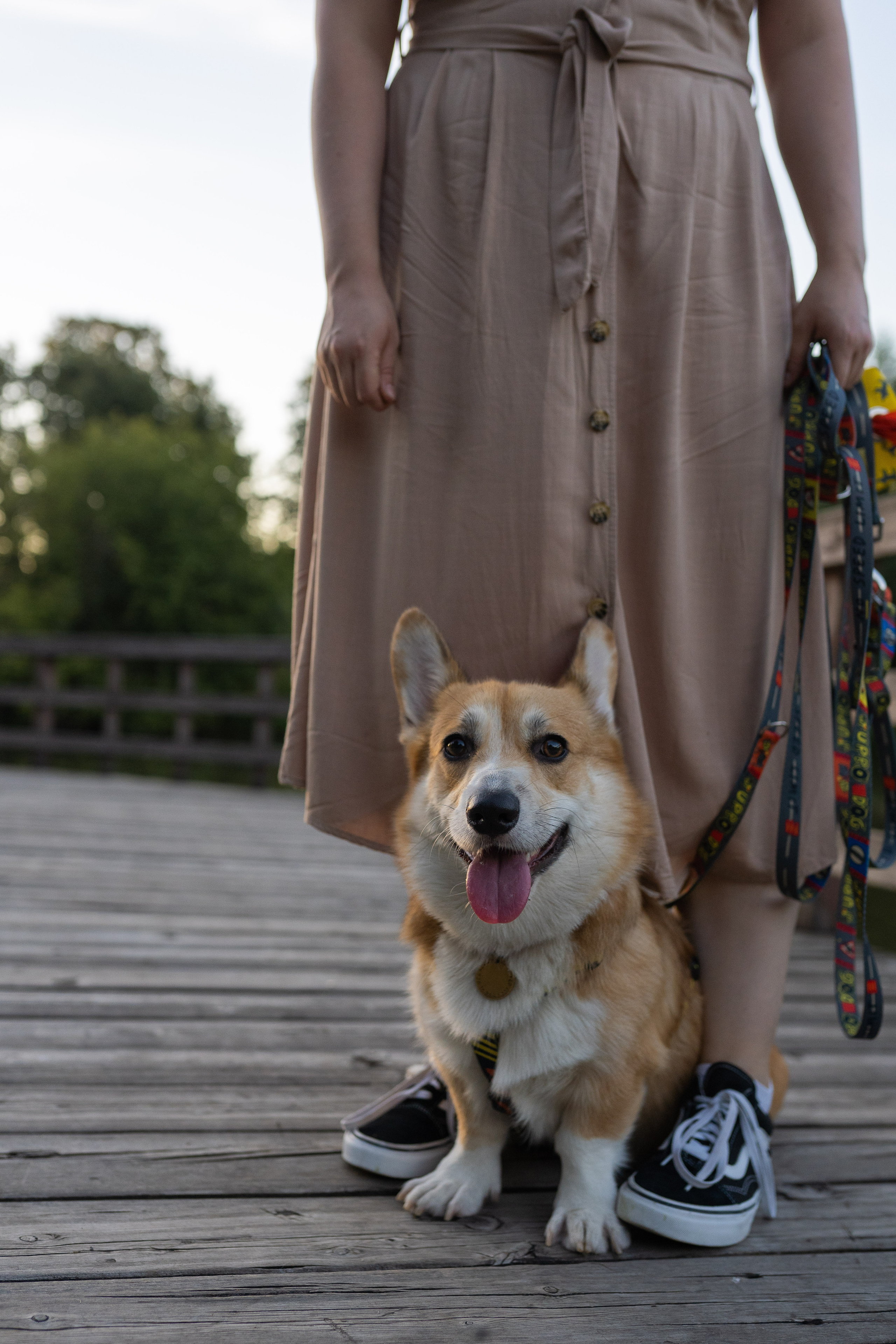 Катя и Боря, Джамгаровский парк. Свадебный фотограф в Москве Анна Полушина