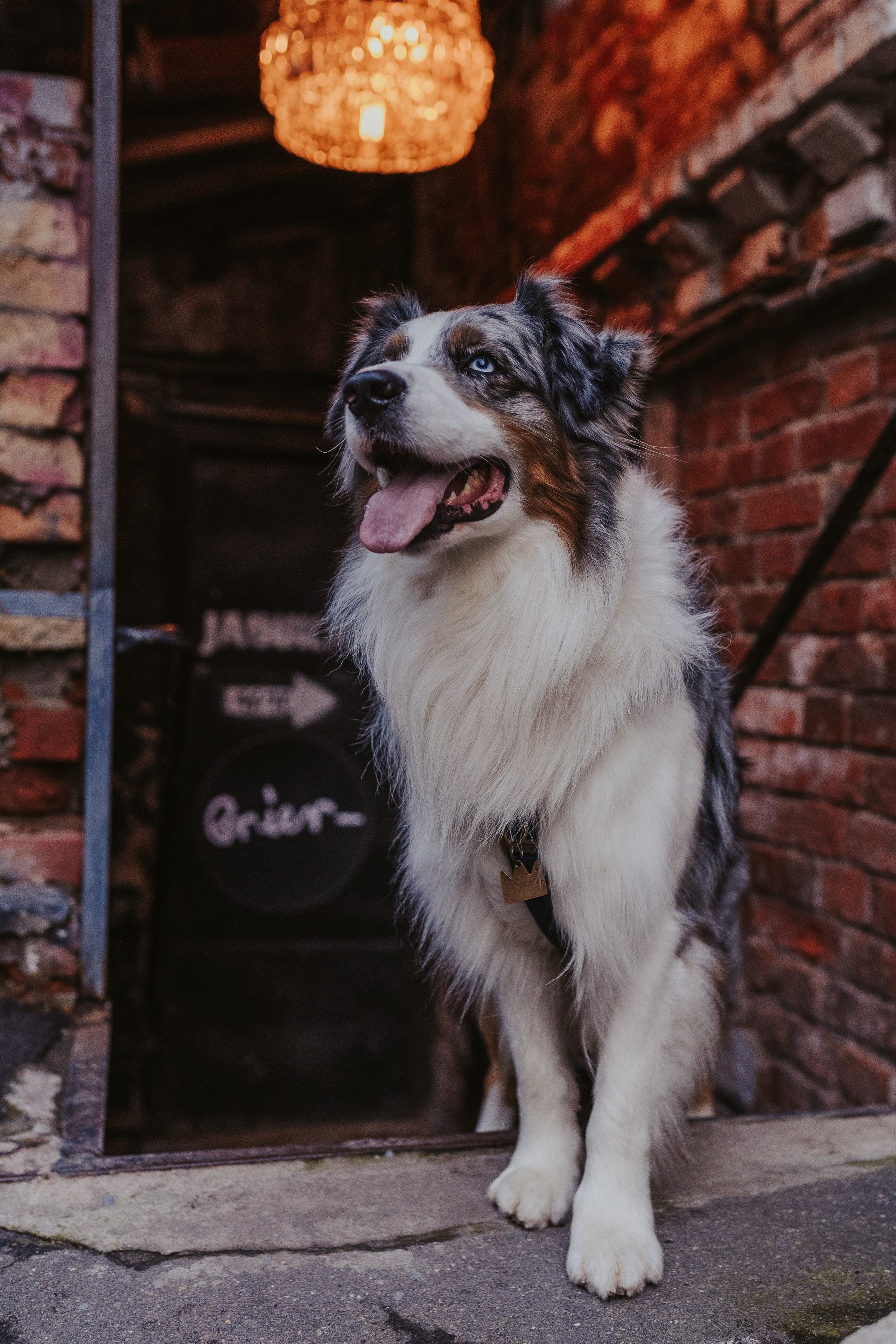 Лена и Принц, Китай- Город. Свадебный фотограф в Москве Анна Полушина
