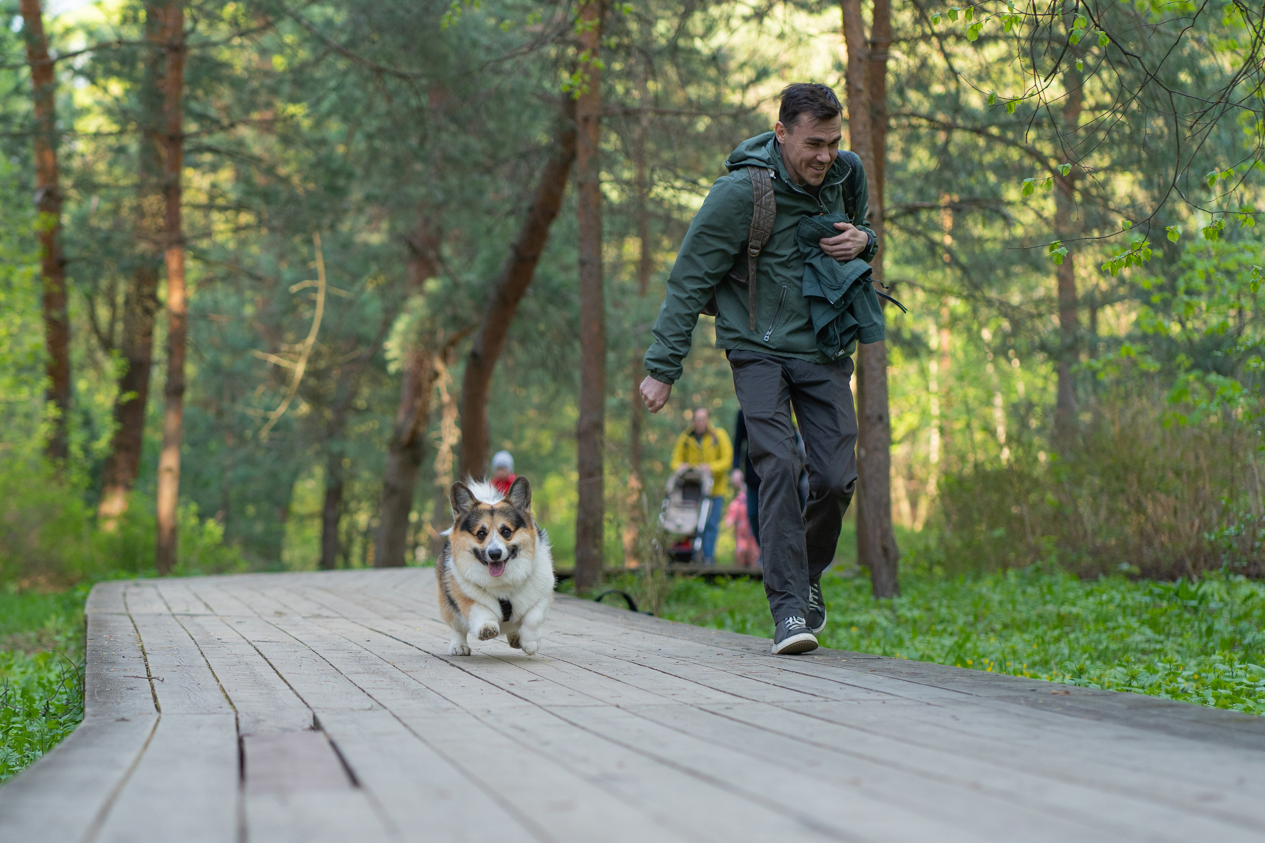 Катя и Честер, Серебряный бор. Свадебный фотограф в Москве Анна Полушина