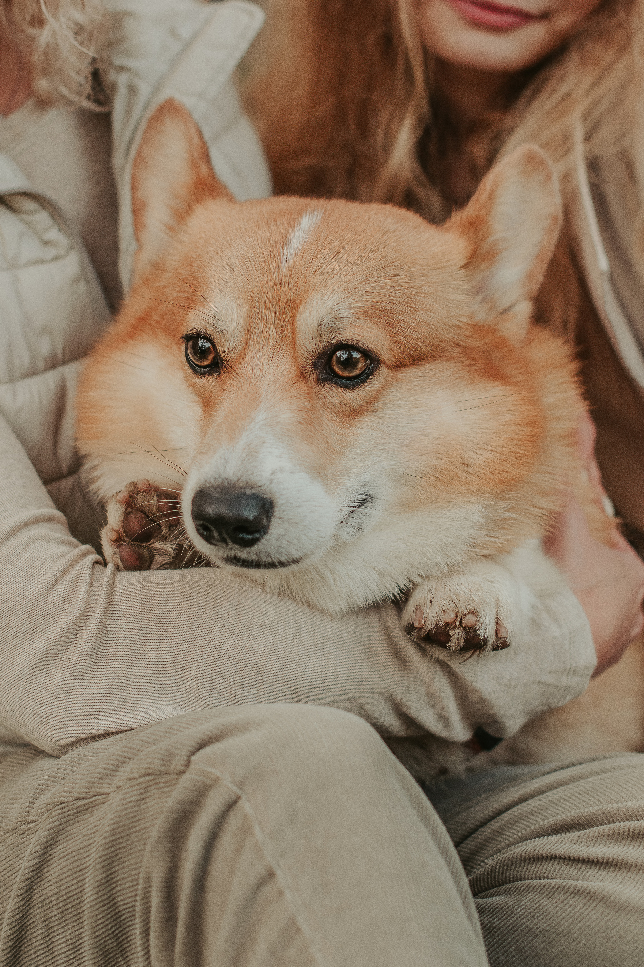 Наташа, Даша и Кевин. Свадебный фотограф в Москве Анна Полушина