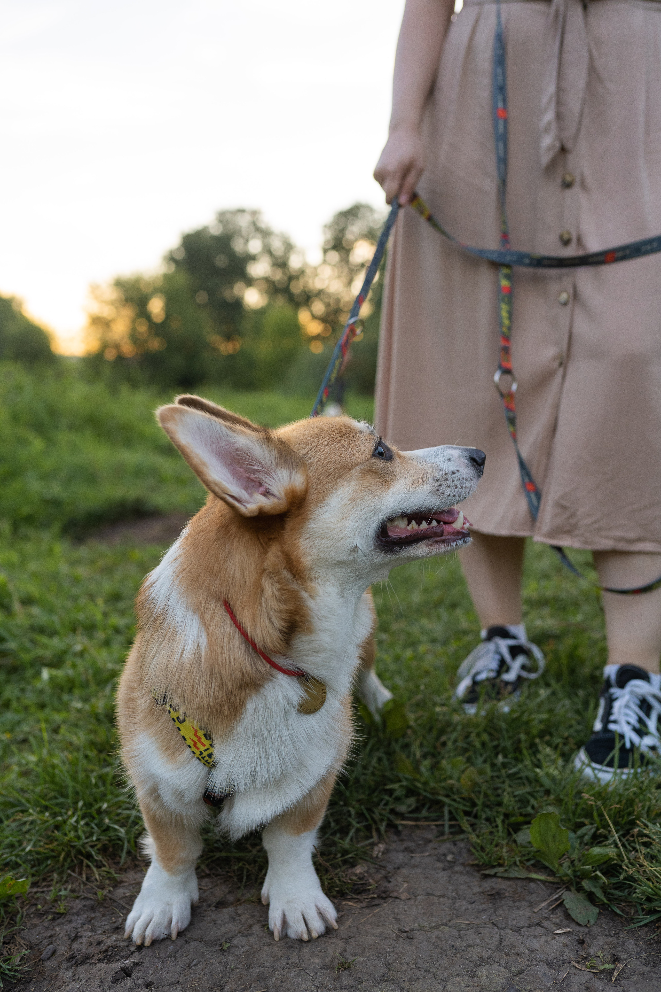 Катя и Боря, Джамгаровский парк. Свадебный фотограф в Москве Анна Полушина