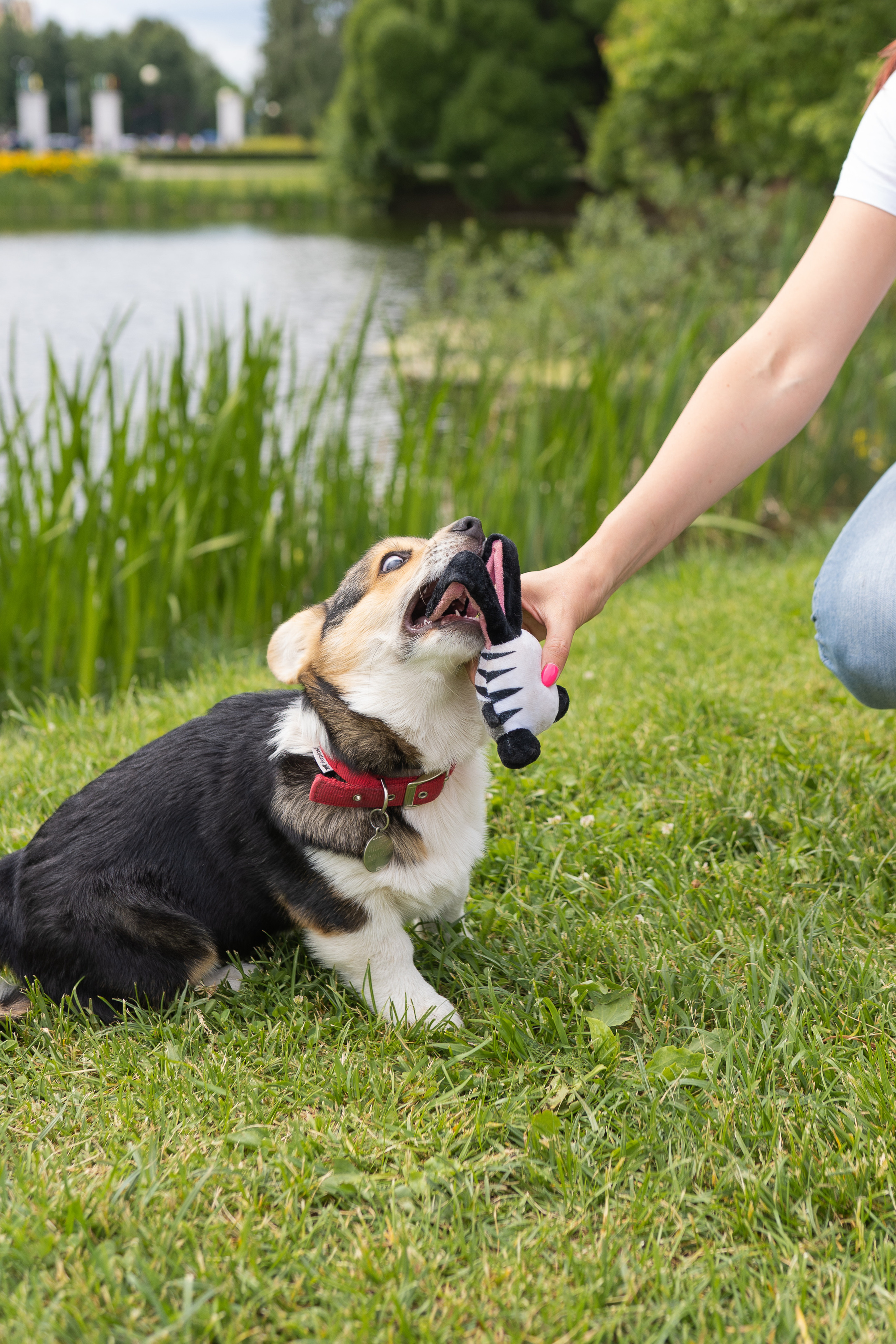 Каспер и Полина, Ботанический сад. Свадебный фотограф в Москве Анна Полушина