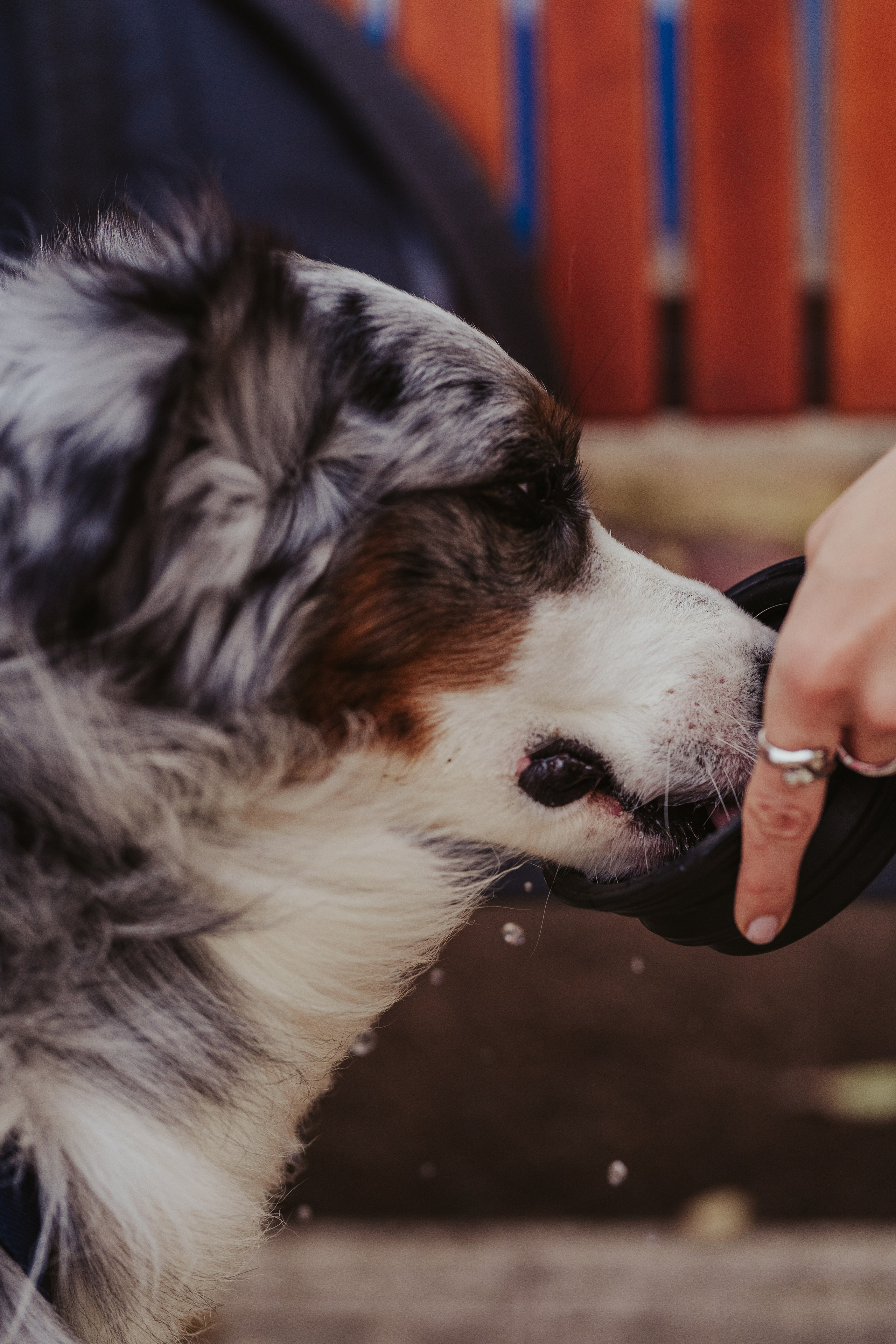 Лена и Принц, Китай- Город. Свадебный фотограф в Москве Анна Полушина