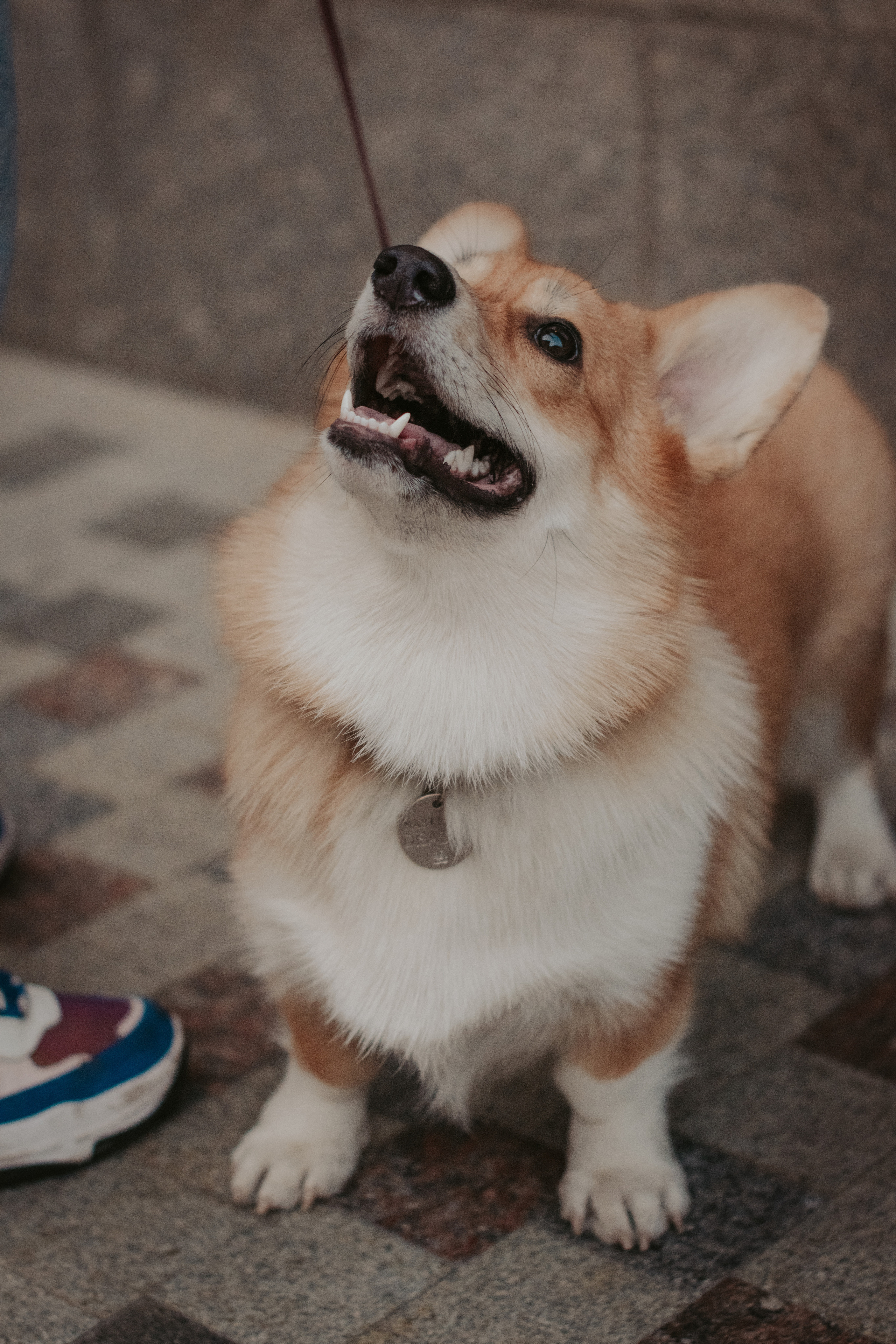 Марина и Мася, Новодевичий сквер. Свадебный фотограф в Москве Анна Полушина