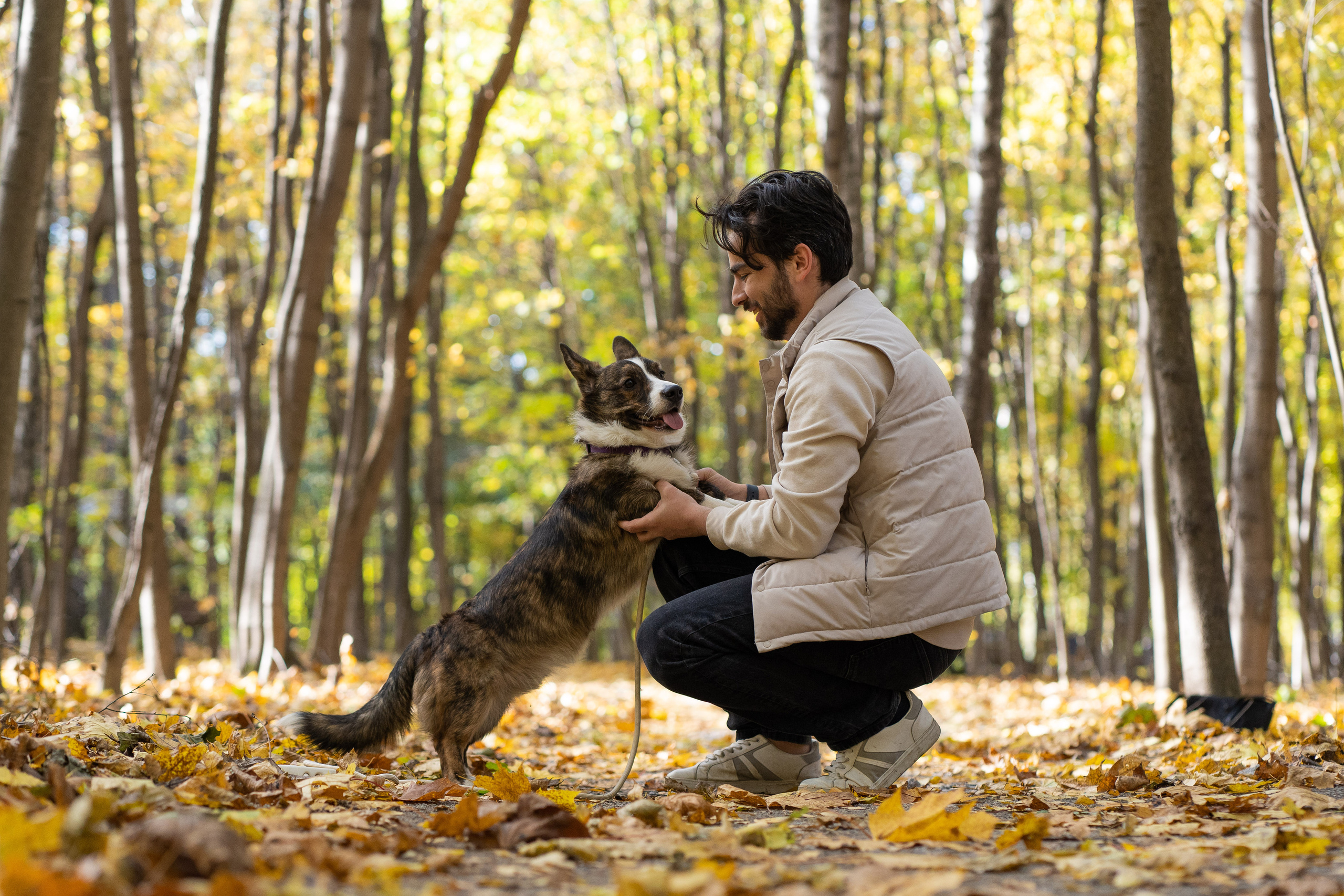 Боря, Даша и Маффин. Свадебный фотограф в Москве Анна Полушина