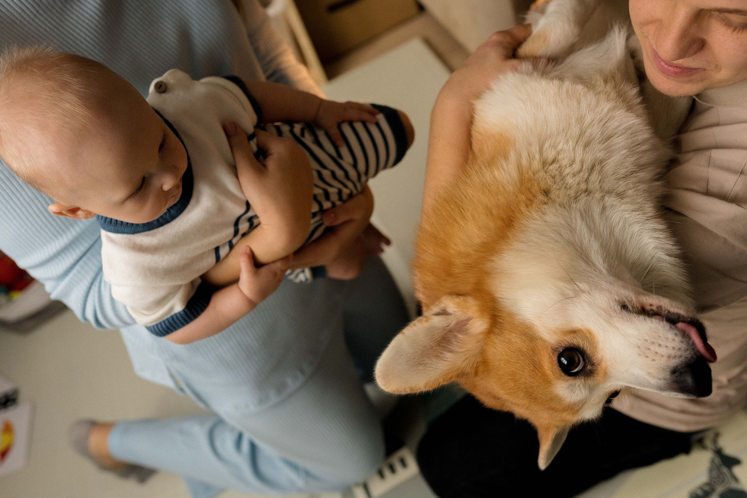 Семейная фотосессия в Москве, семейный фотограф Анна Полушина. Свадебный фотограф в Москве Анна Полушина