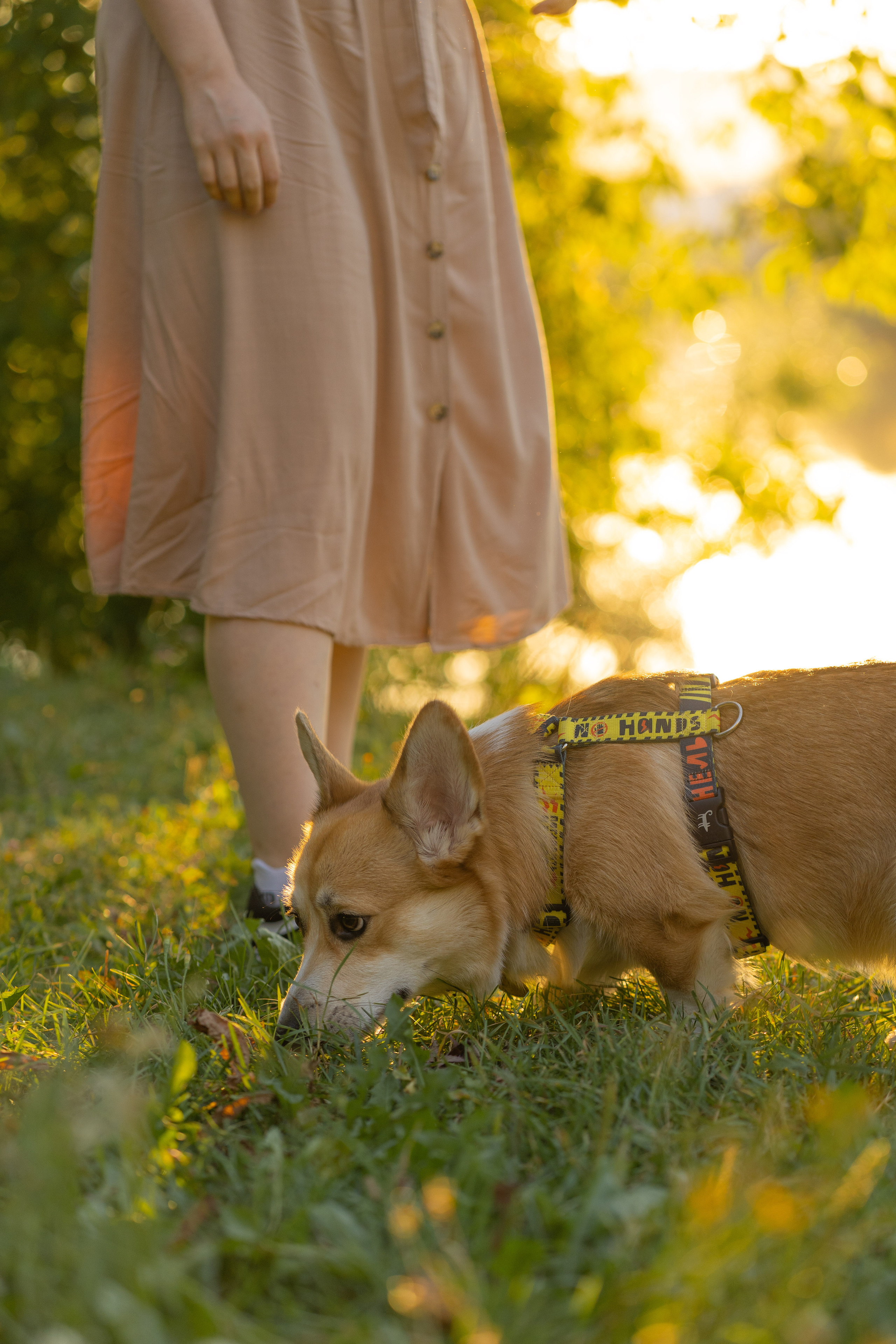 Катя и Боря, Джамгаровский парк. Свадебный фотограф в Москве Анна Полушина